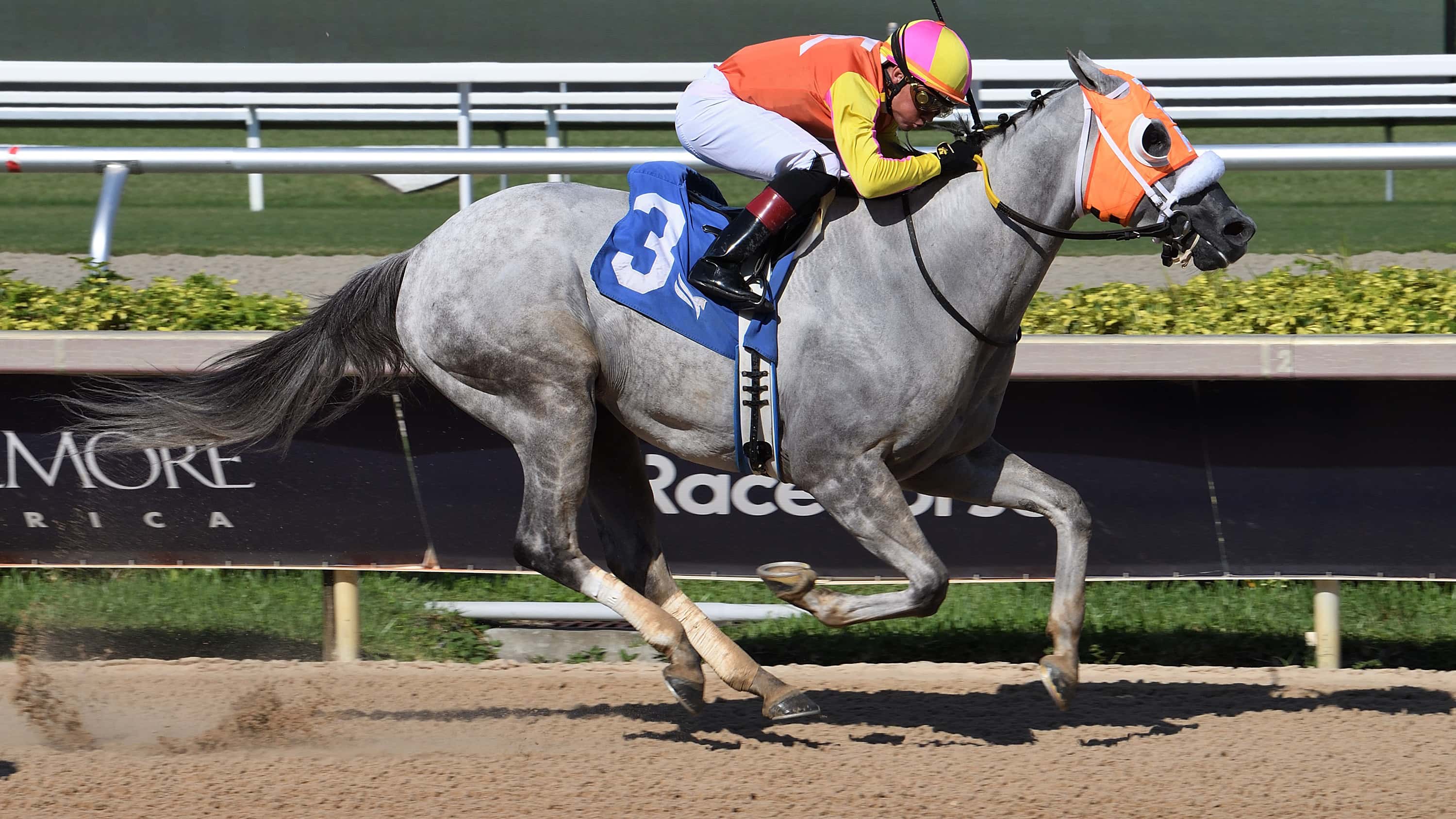 Comedy Town the Smile Sprint