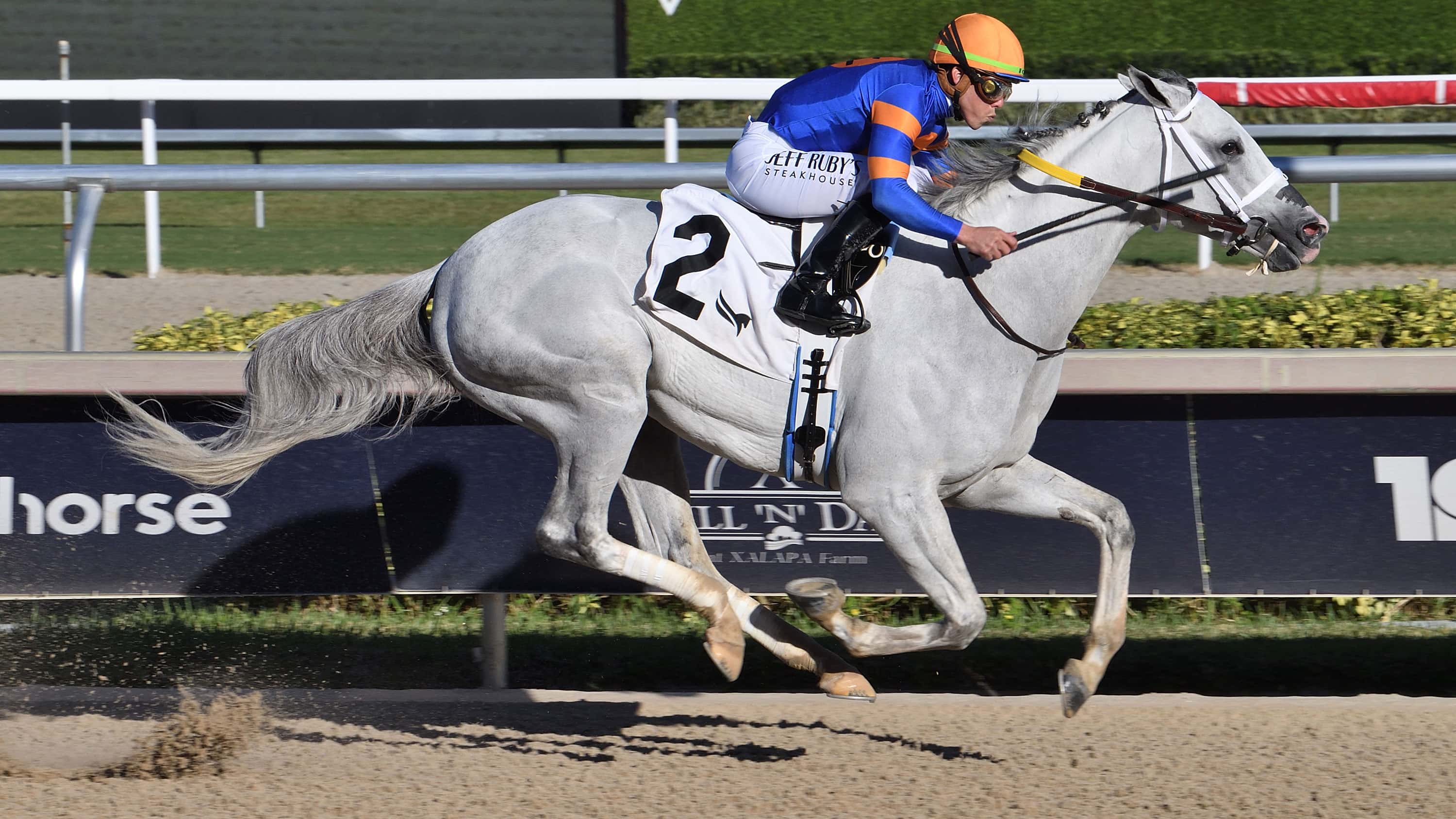 White-Abarrio-credit-nov-