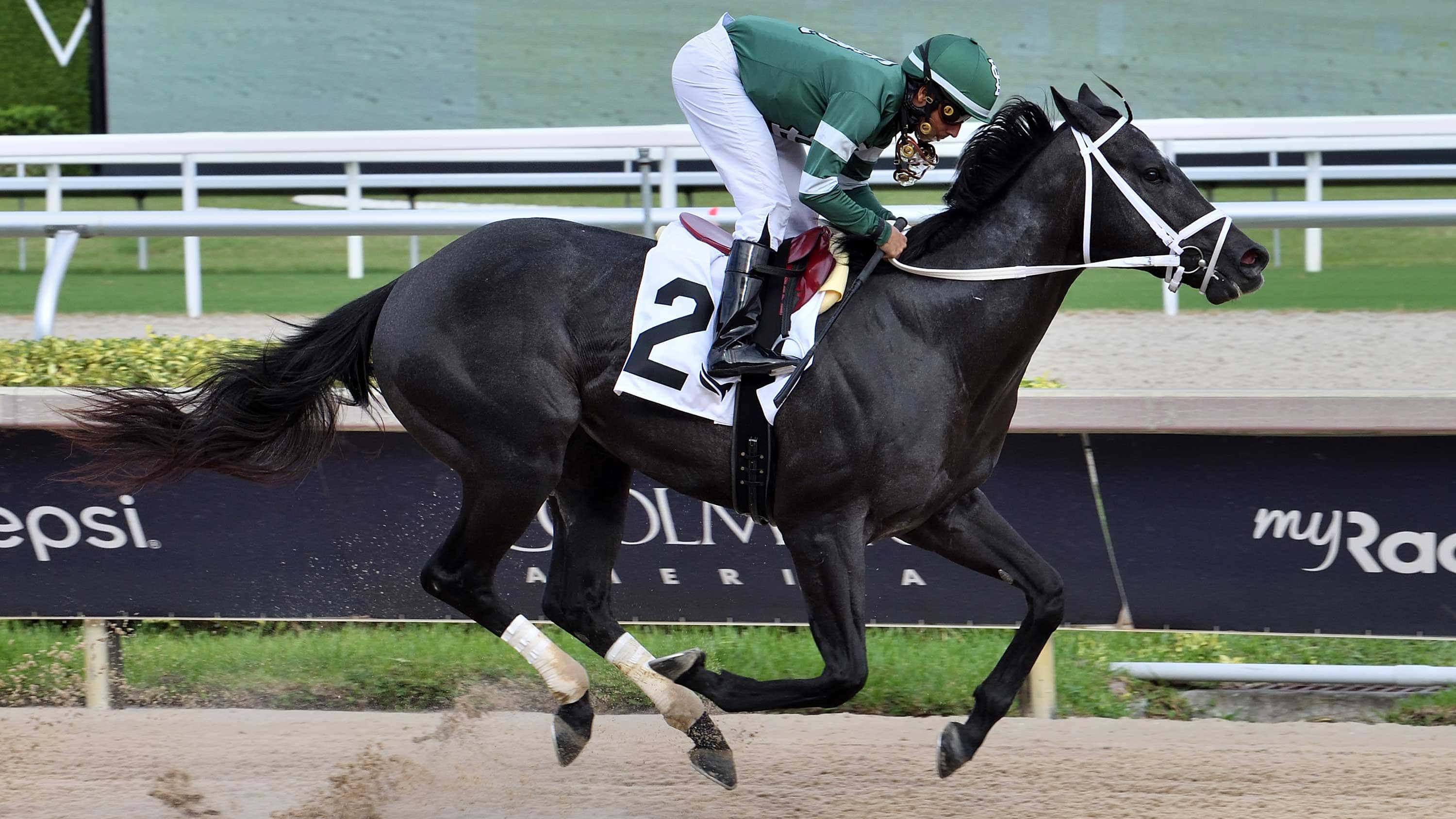 Rated-by-Merit-the-FSS-Affirmed-24