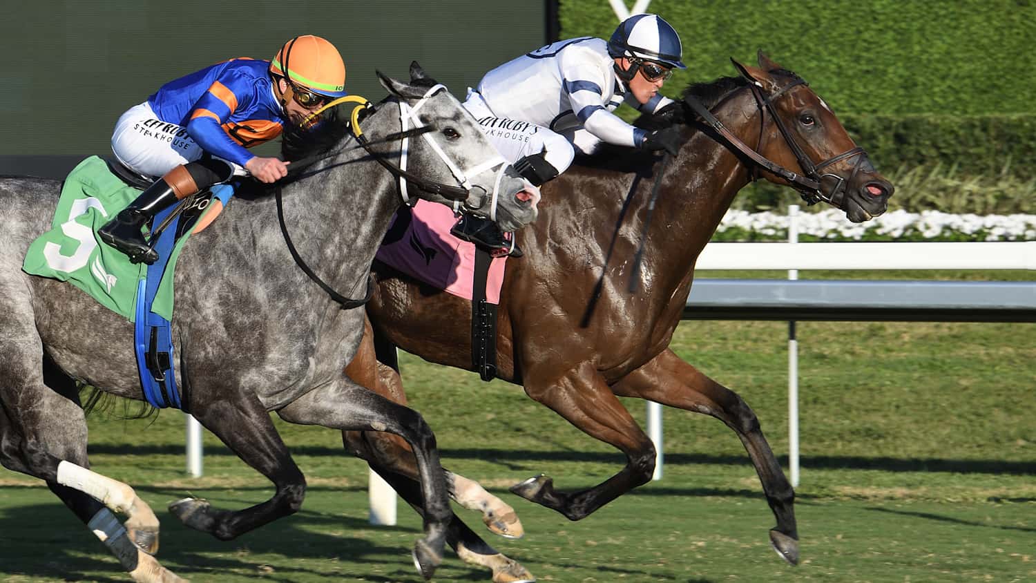 Moon Spun the Abundantia