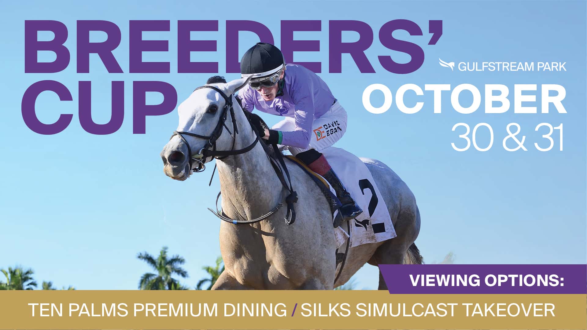 1920x1080 Breeder Cup V6 background asset