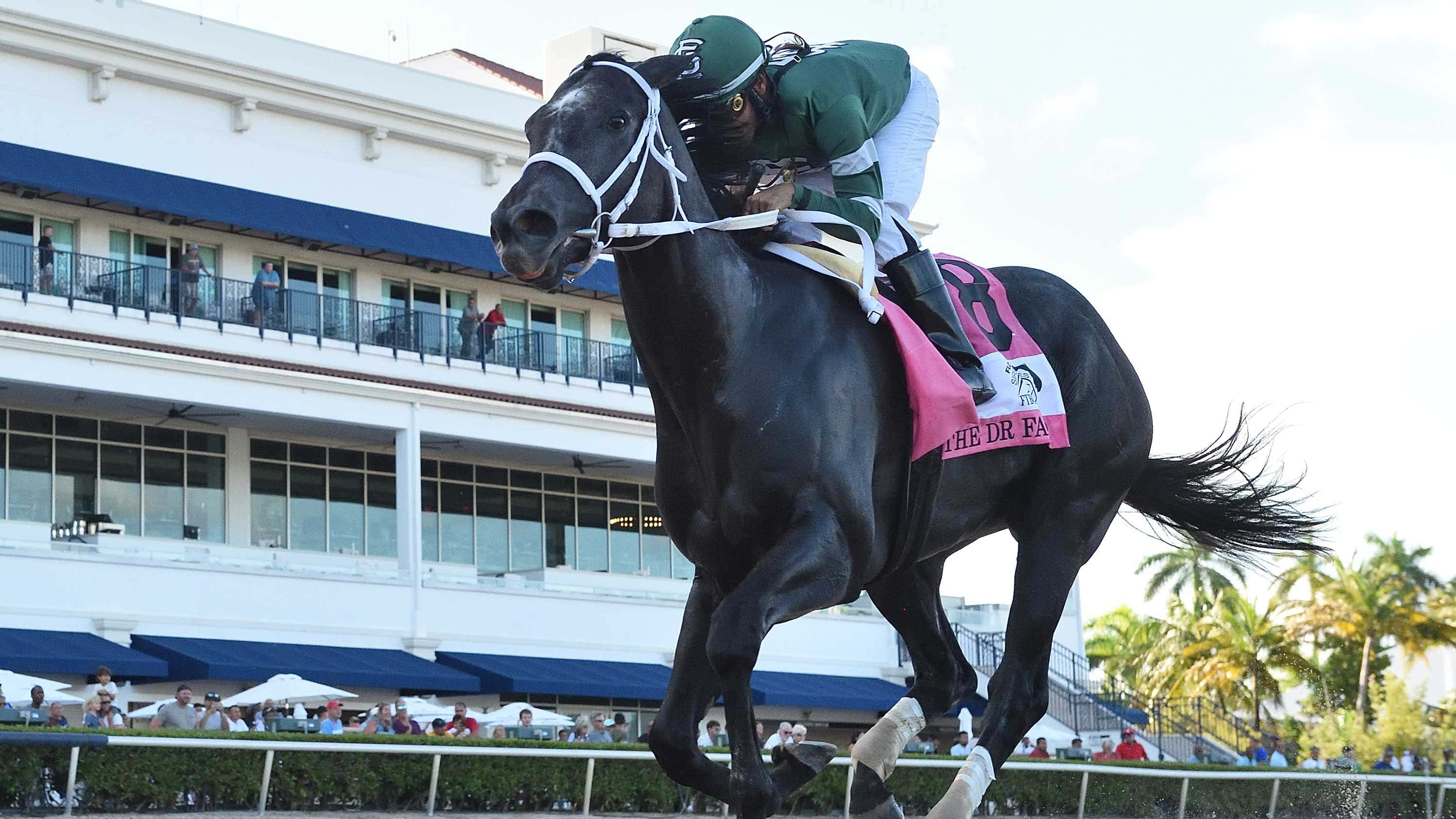 Rated-by-Merit-the-FSS-Dr-Fager-3