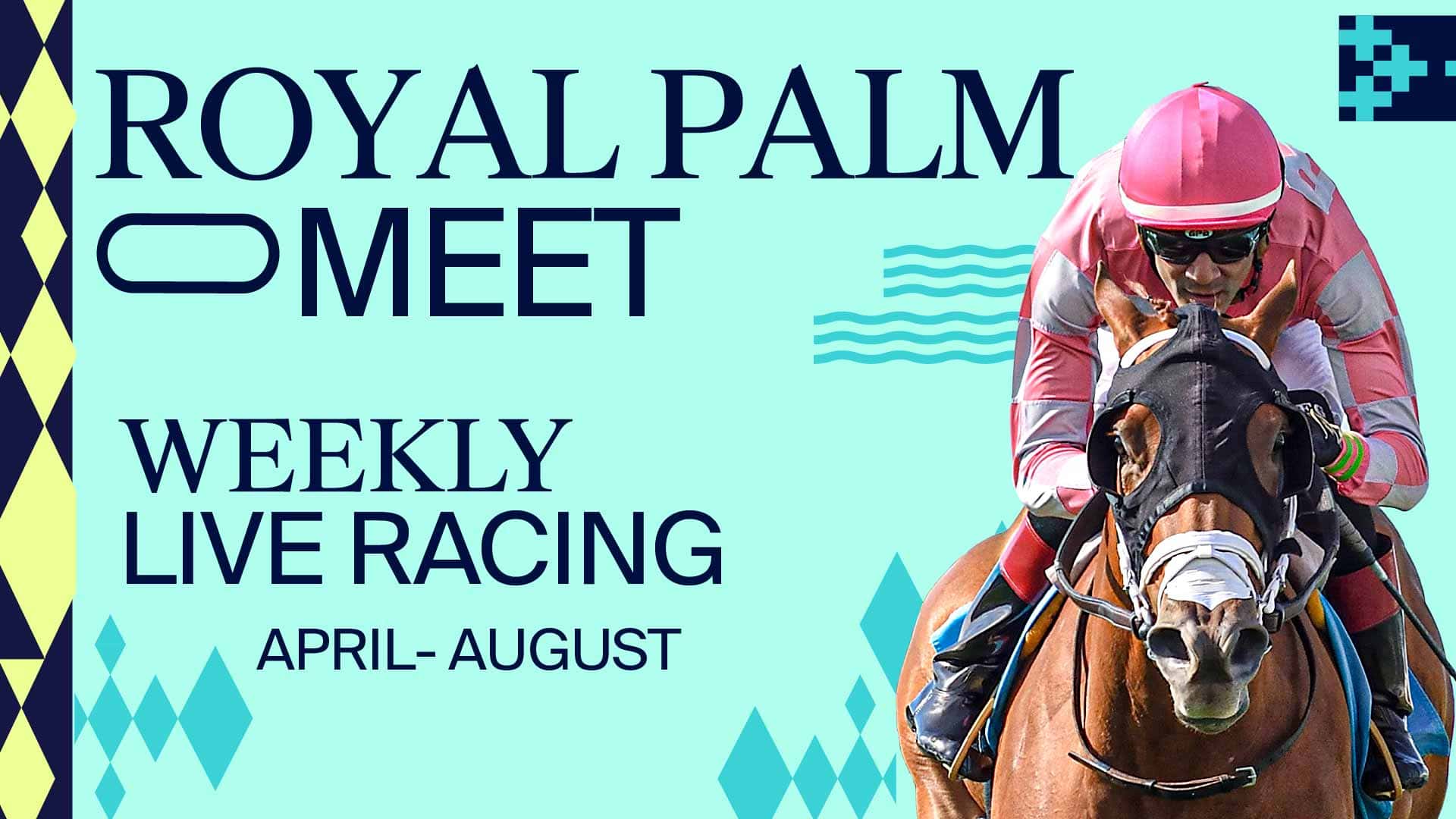 ROYAL TV Slate 24 Royal Palm Meet 2024 Gulfstream Park Thoroughbred Racing