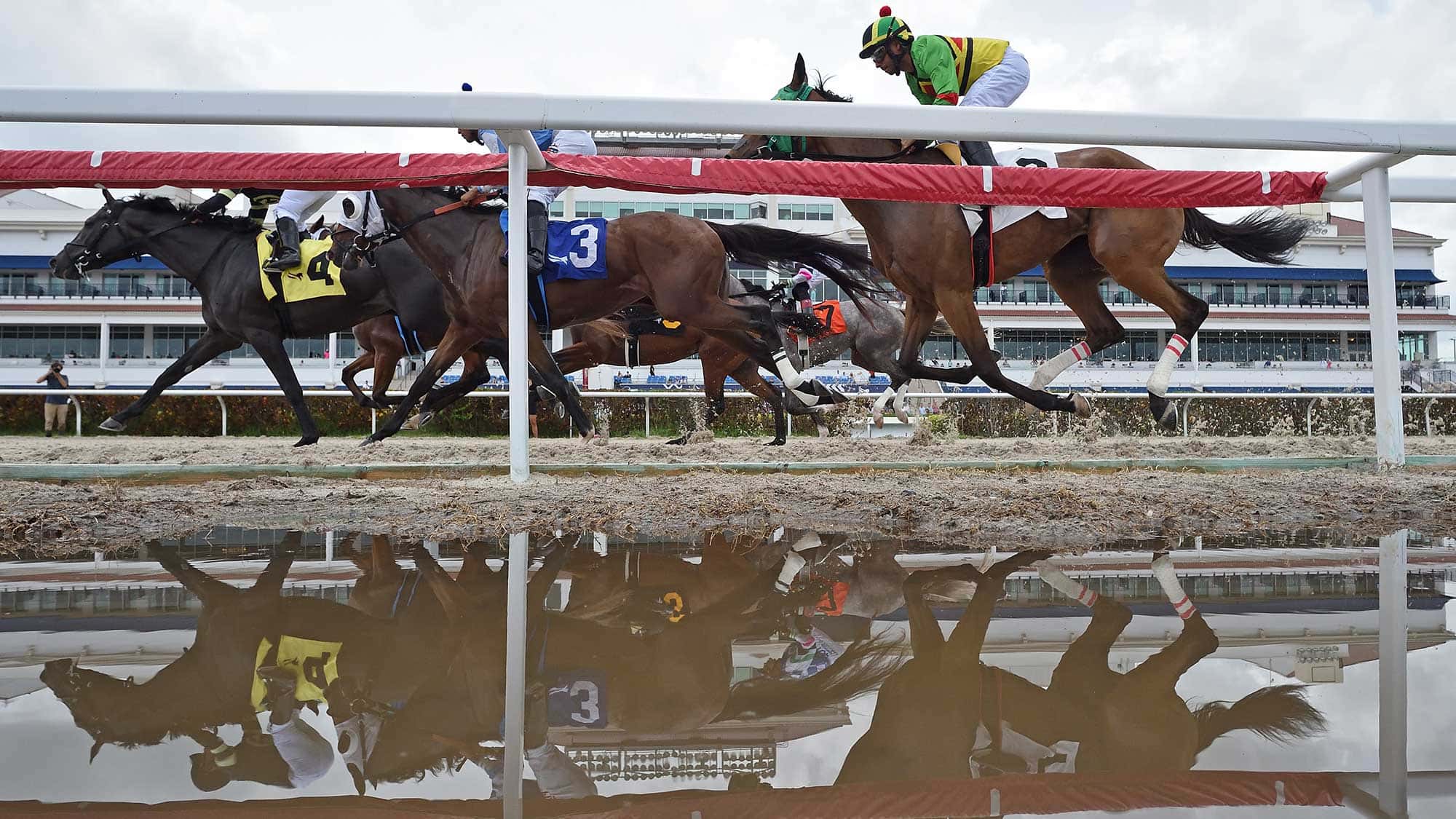 GP-Tapeta-reflection-2