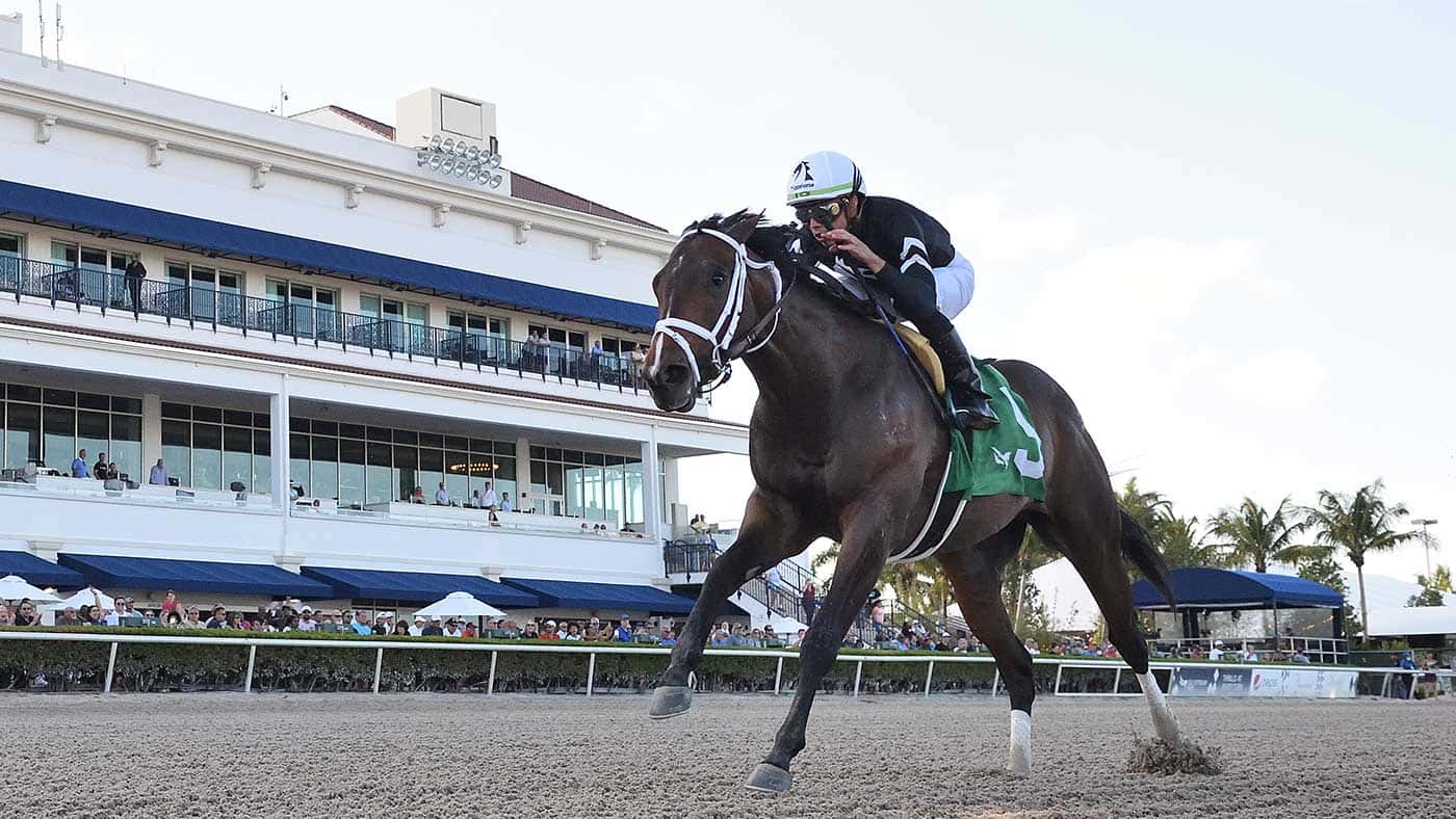 Provocateur Comes into His Own in Saturday’s Hutcheson