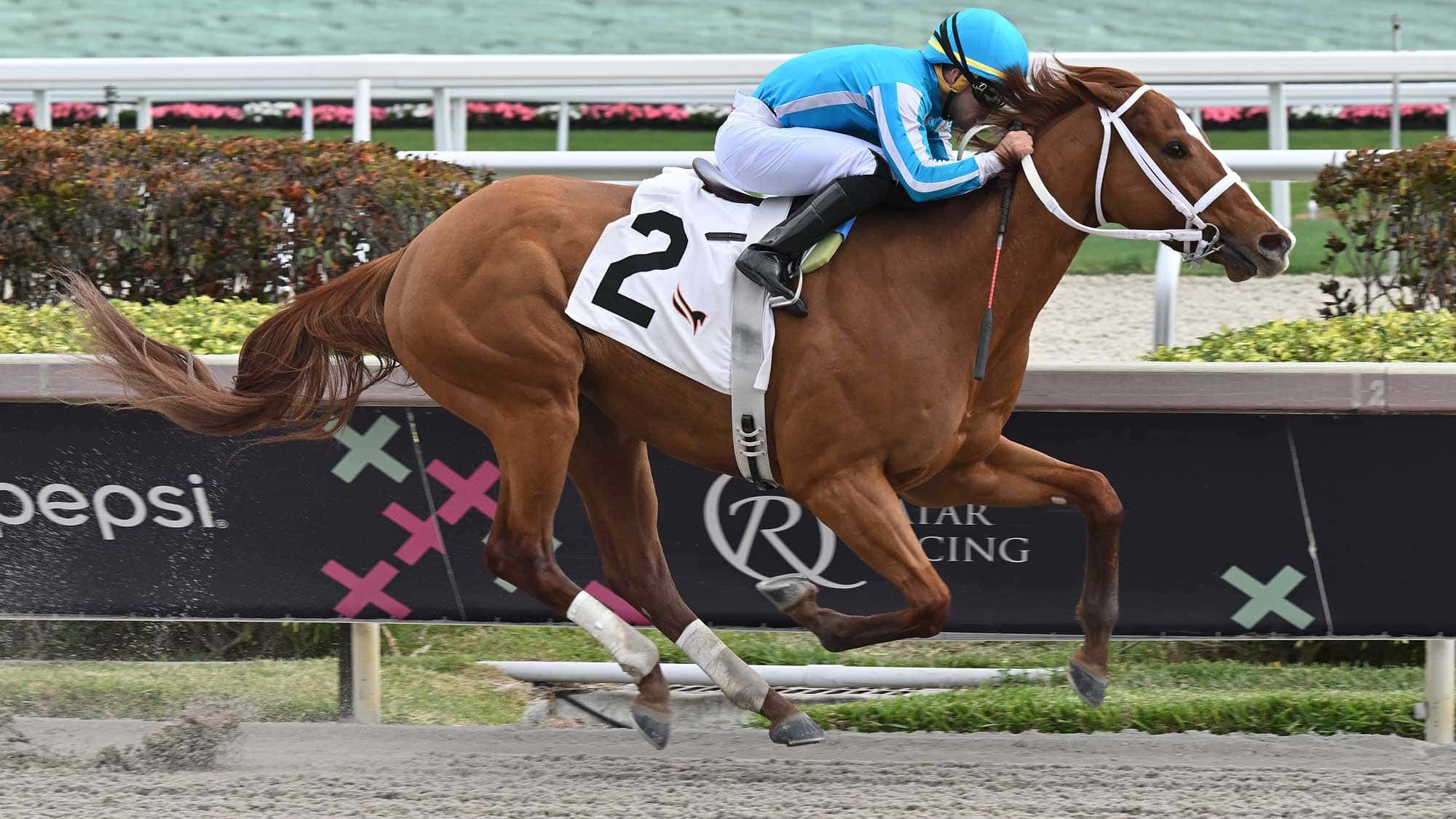 Curlin Florida Derby Day Notes