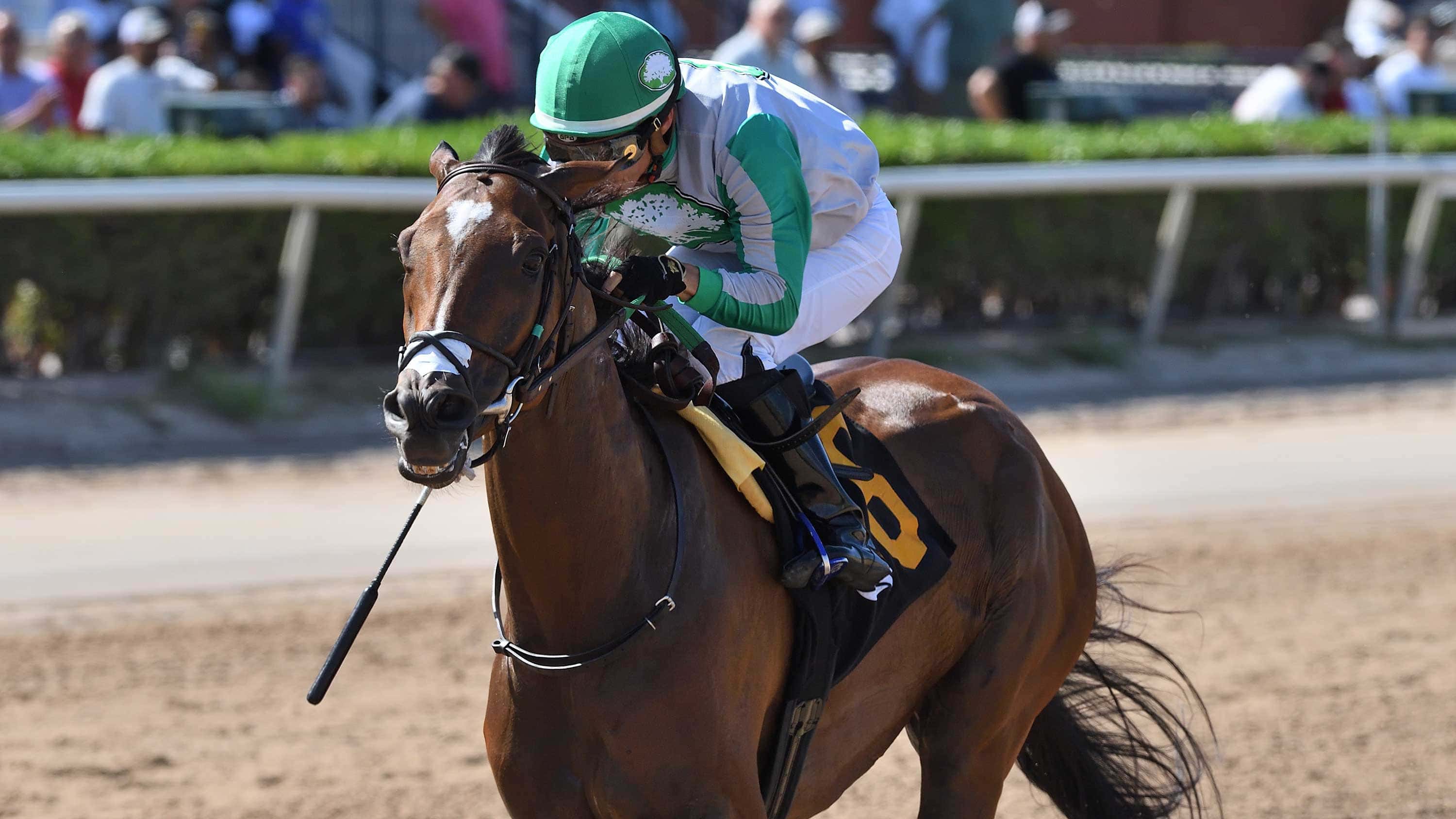 Octane-the-Big-Drama