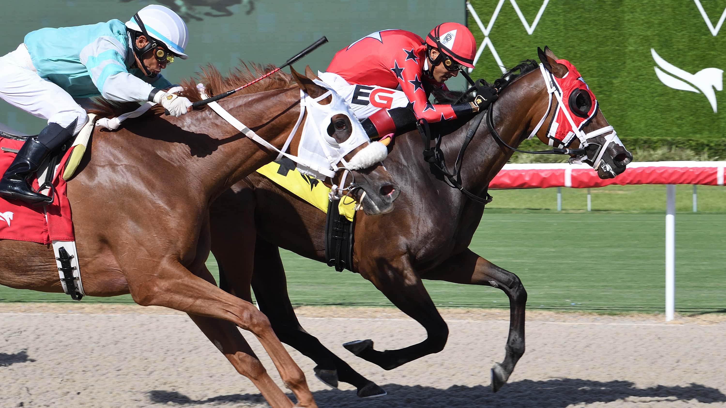 Scarlet-Sands-the-Miss-Gracie