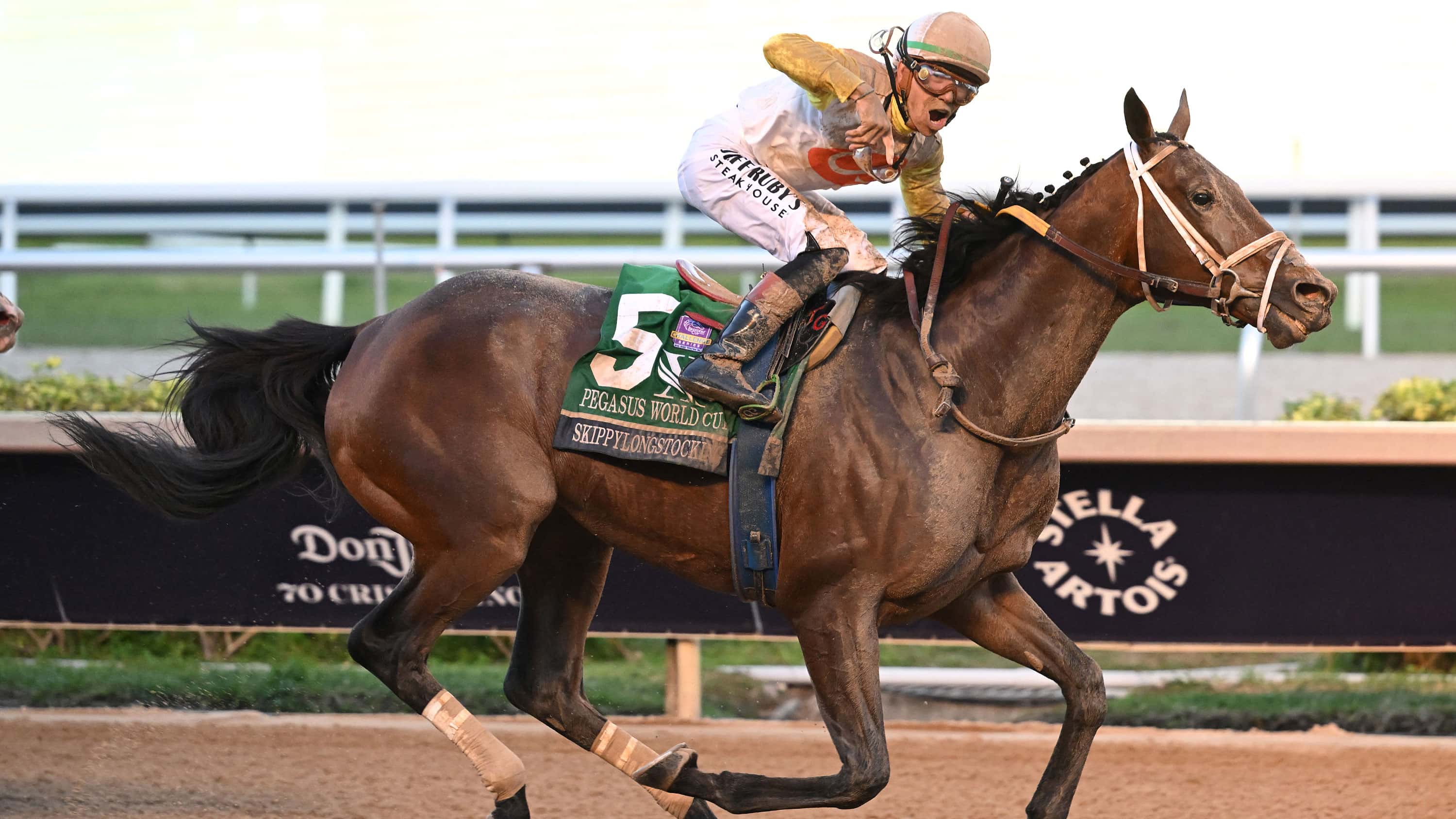 Skippylongstocking Wins $3M Pegasus World Cup (G1) on Fourth Try