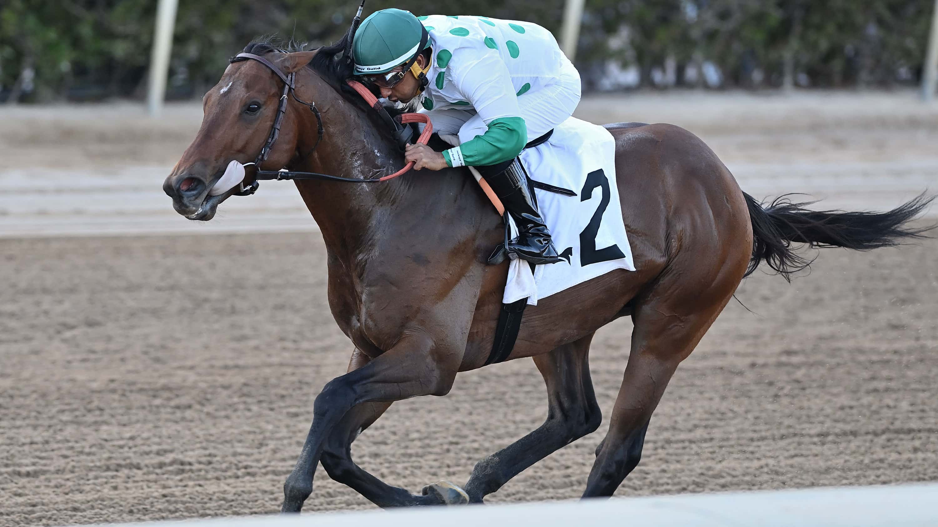 Jacks-Promise-the-GP-Sprint-1