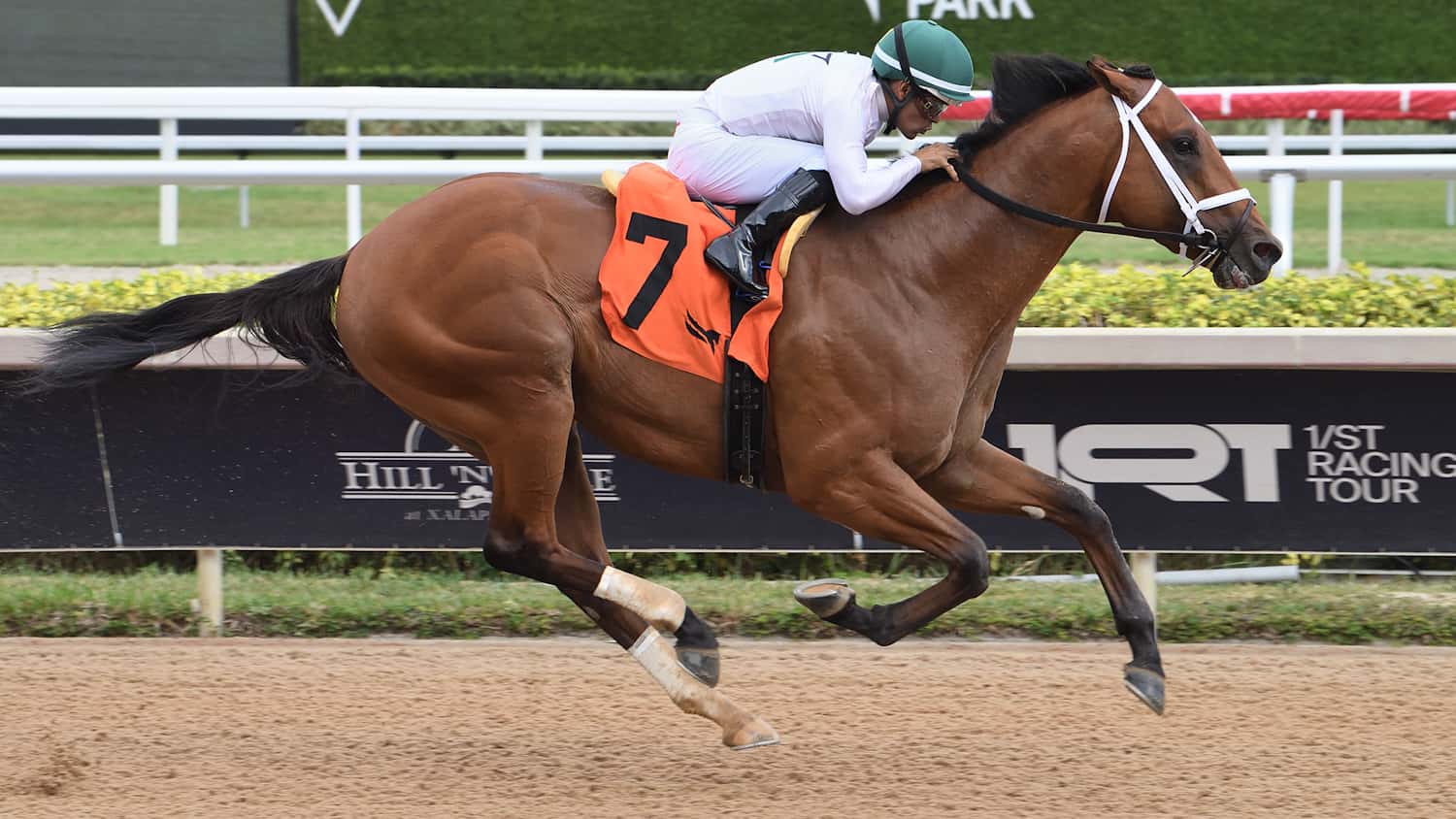 Tappan Street to Return from Long Layoff Friday at Gulfstream