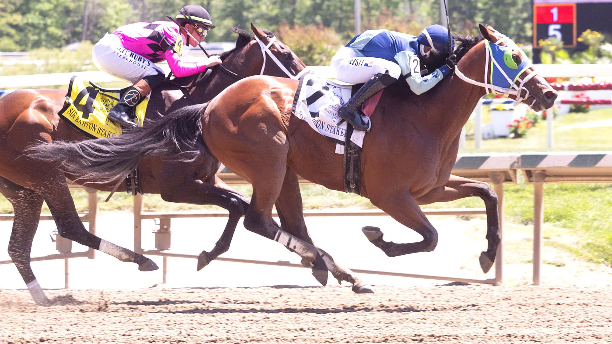 Big Cuddle Edges Past Final Story in $100,000 Sir Barton