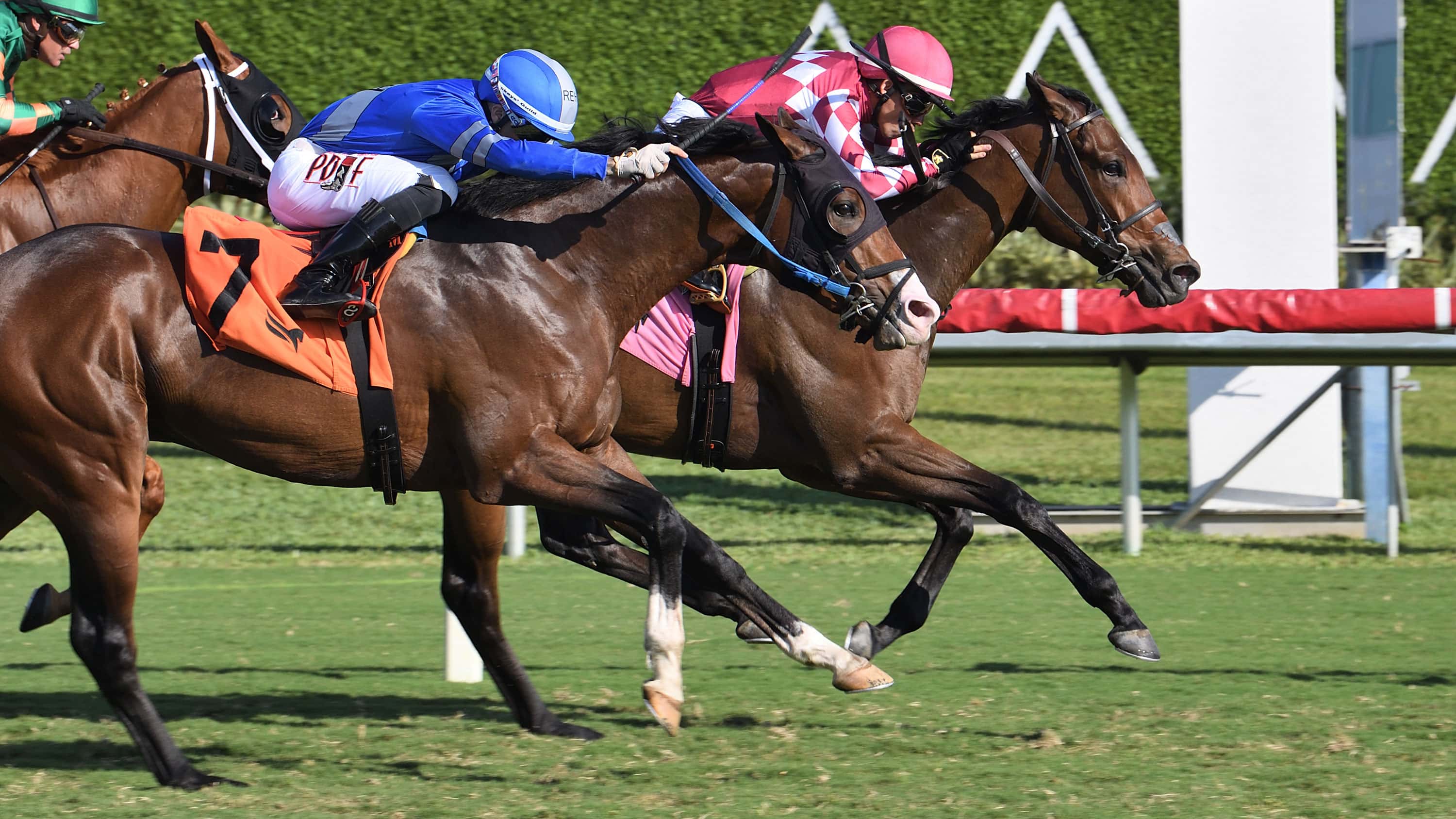 Casse Has Solid One-Two Punch for $175,000 Dania Beach