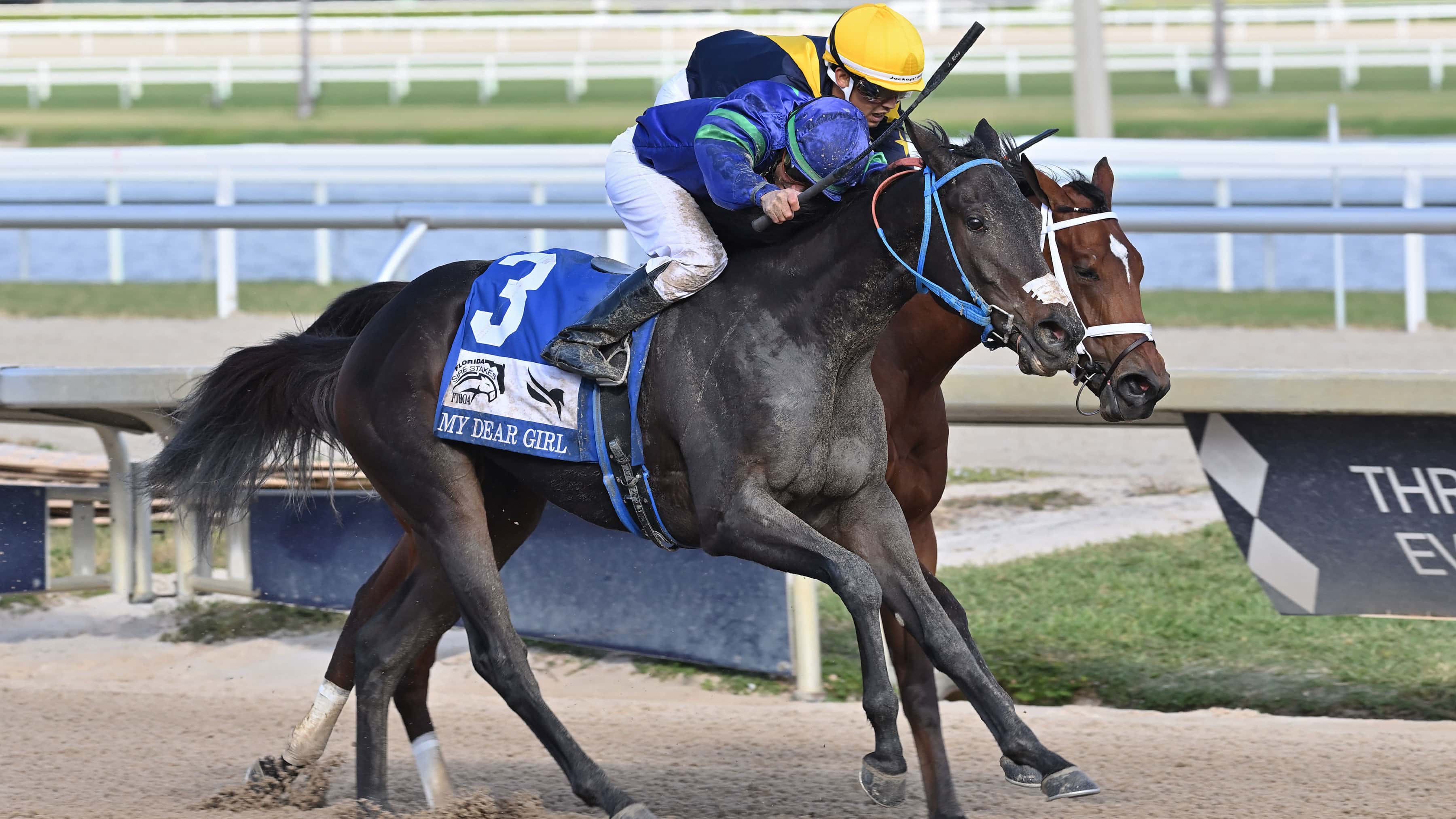 My-Denysse-the-FSS-My-Dear-Girl-