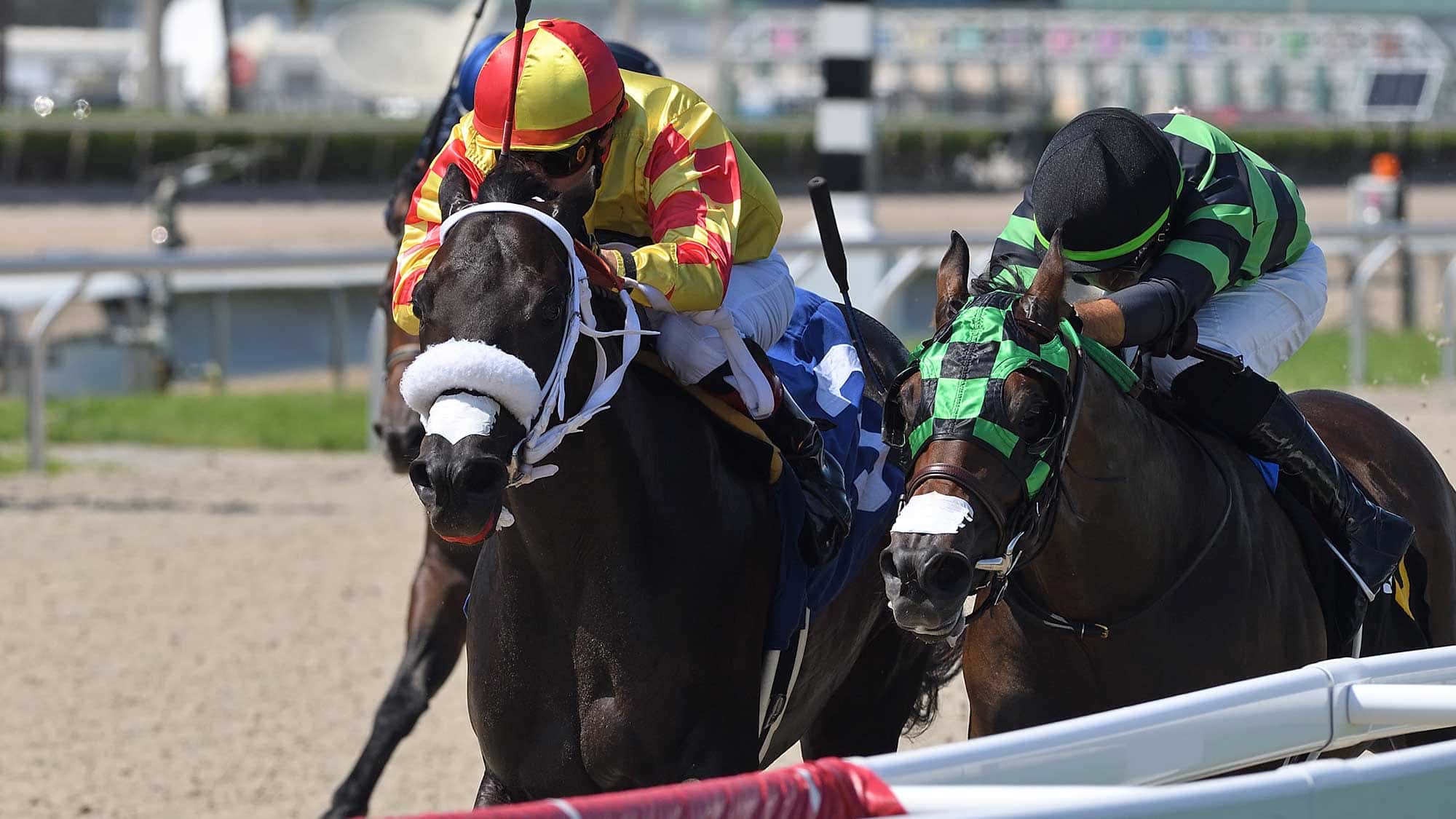 Grand-Mo-the-First-(left)