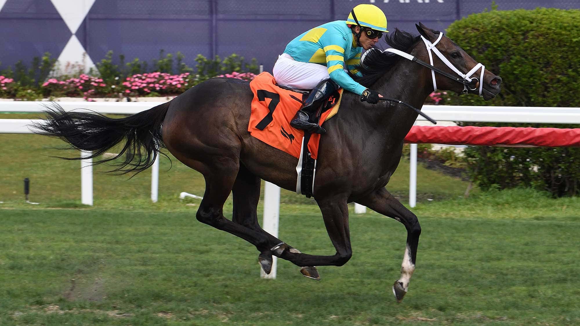 Get-the-Candy-The-Golden-Beach