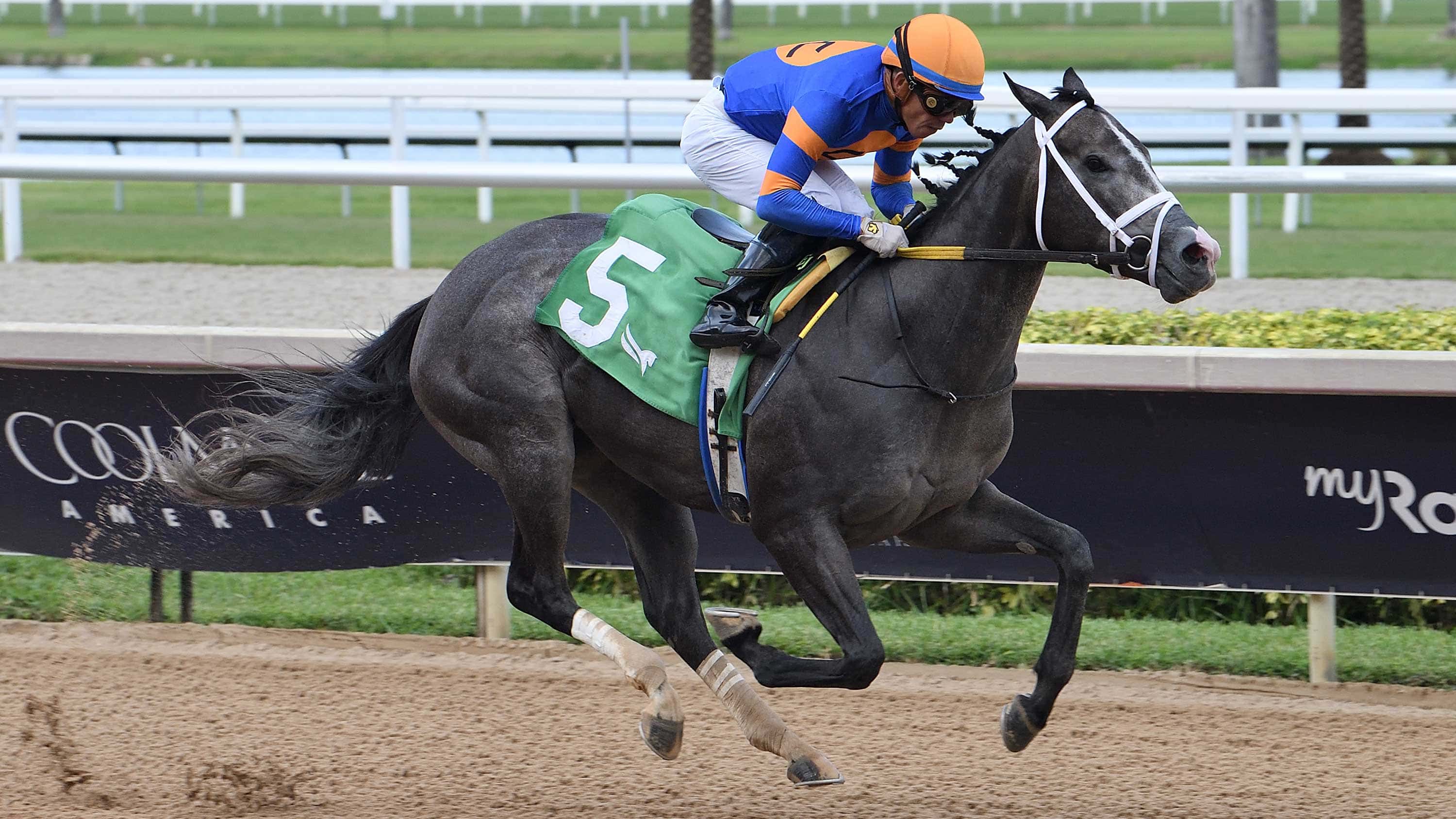 Haulin-Ice-the-Azalea