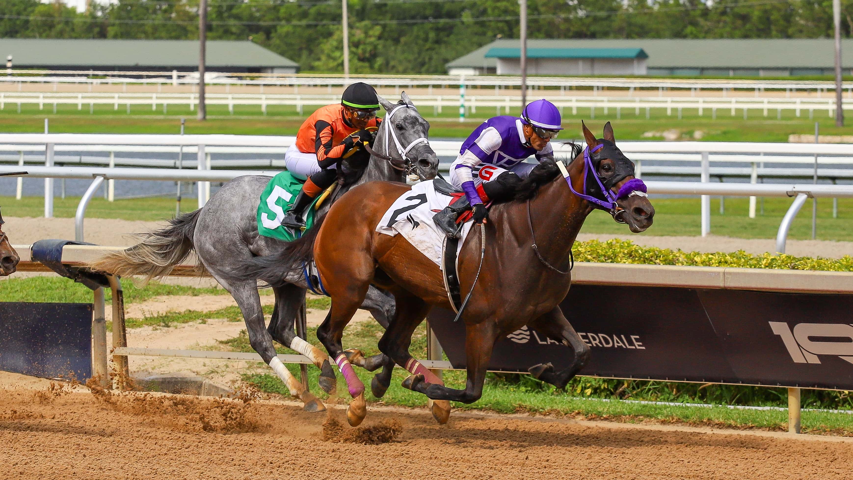 Gallop d-Hermes