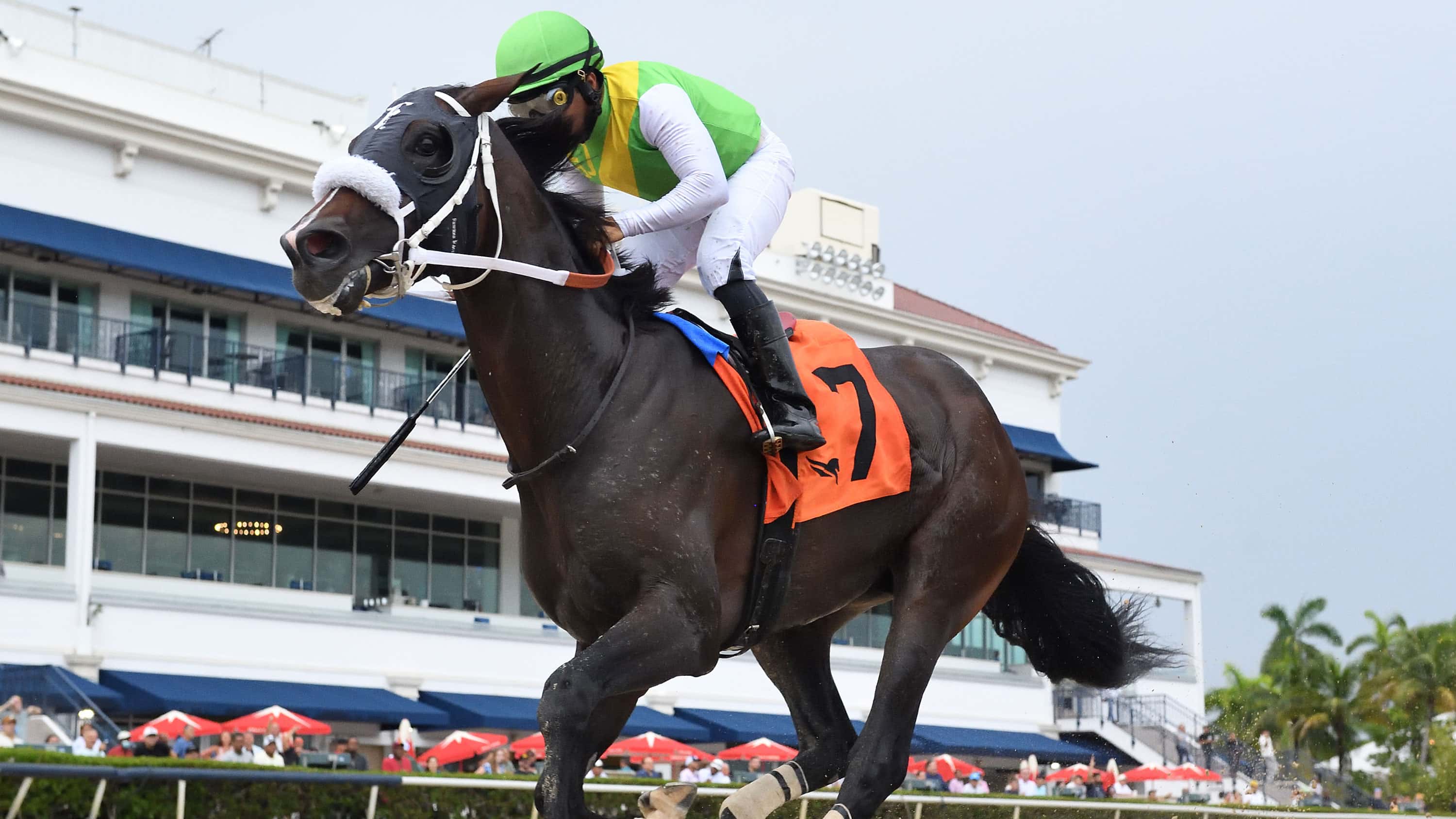 Shaq-Diesel-the-Benny-the-Bull-