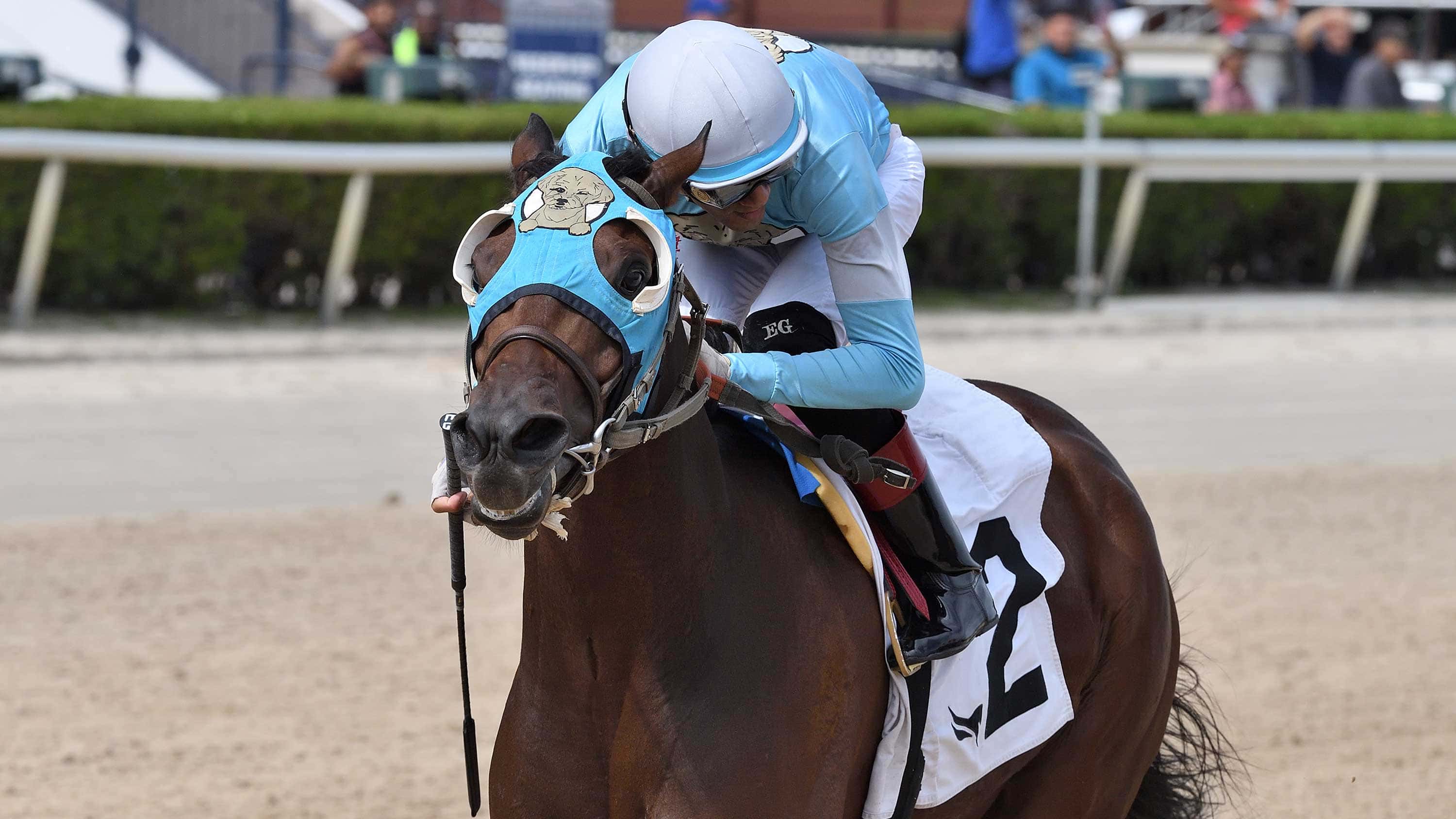 Loco-Abarrio-the-Gil-Campbell-Memorial