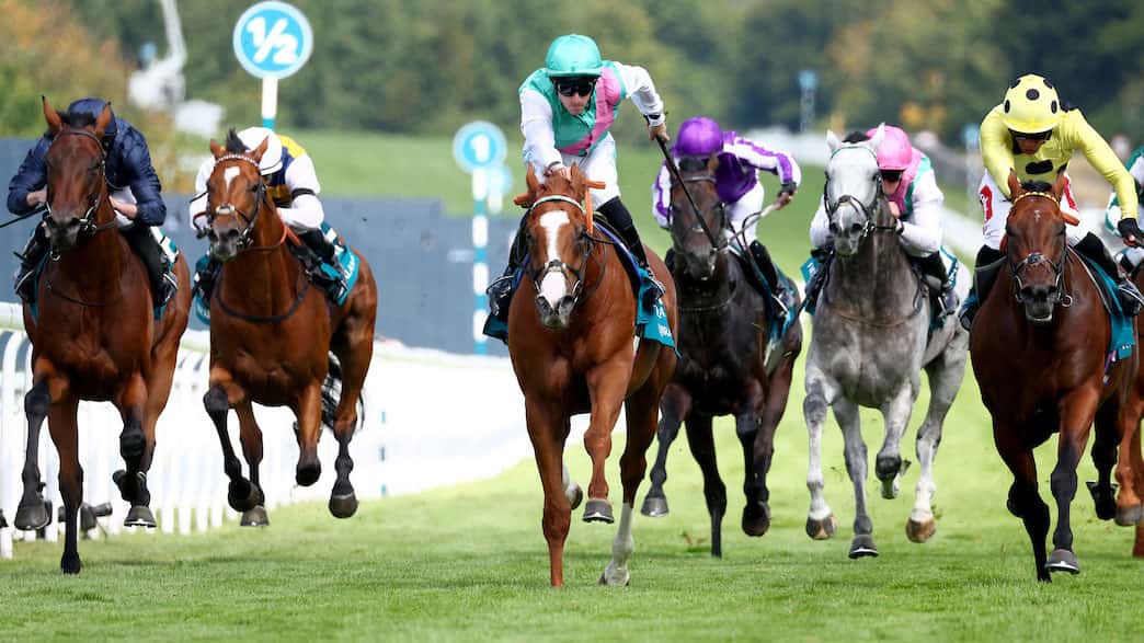 Qirat-Sussex-Stakes-3-Dan-Abraham