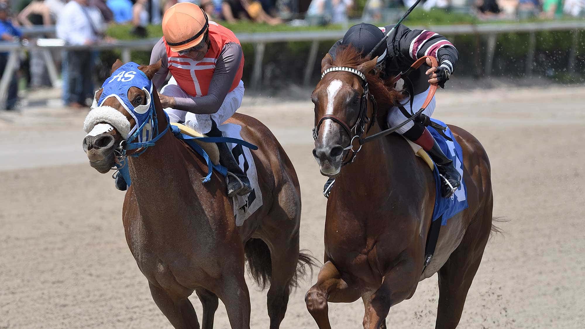 Beeline-right-the-Hutcheson