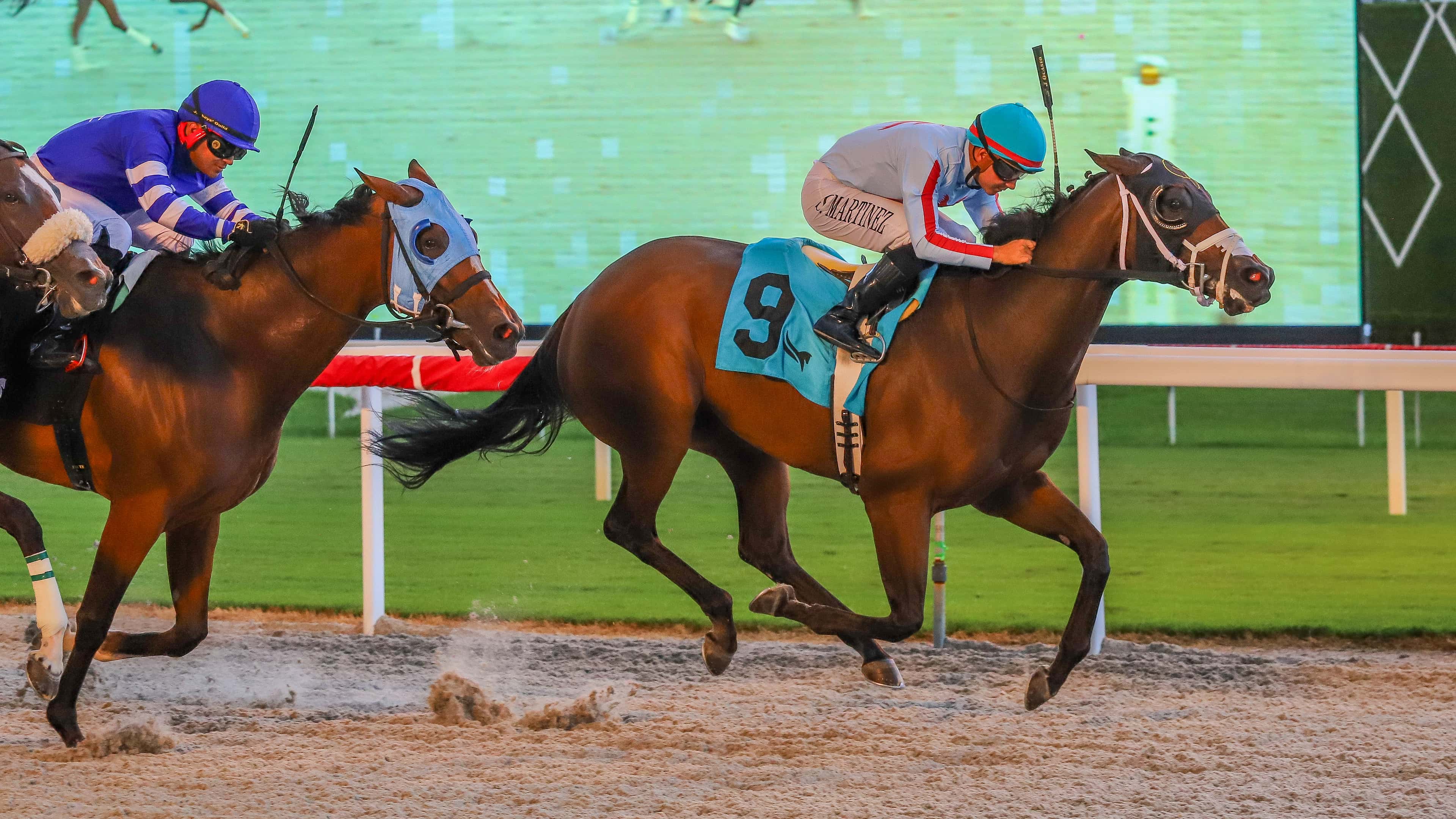 Ginger Punch Handicap