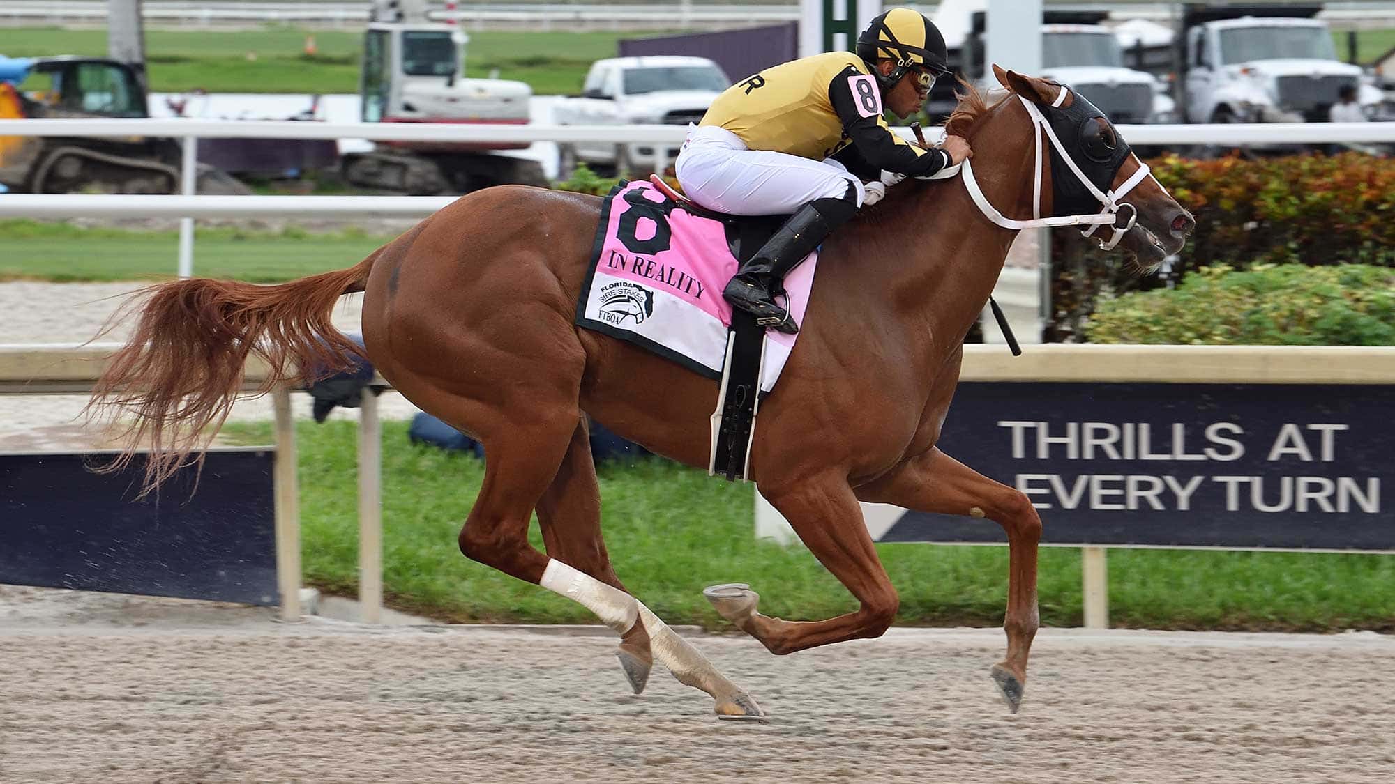 Awesome-Strong-the-FSS-In-Reality-2022