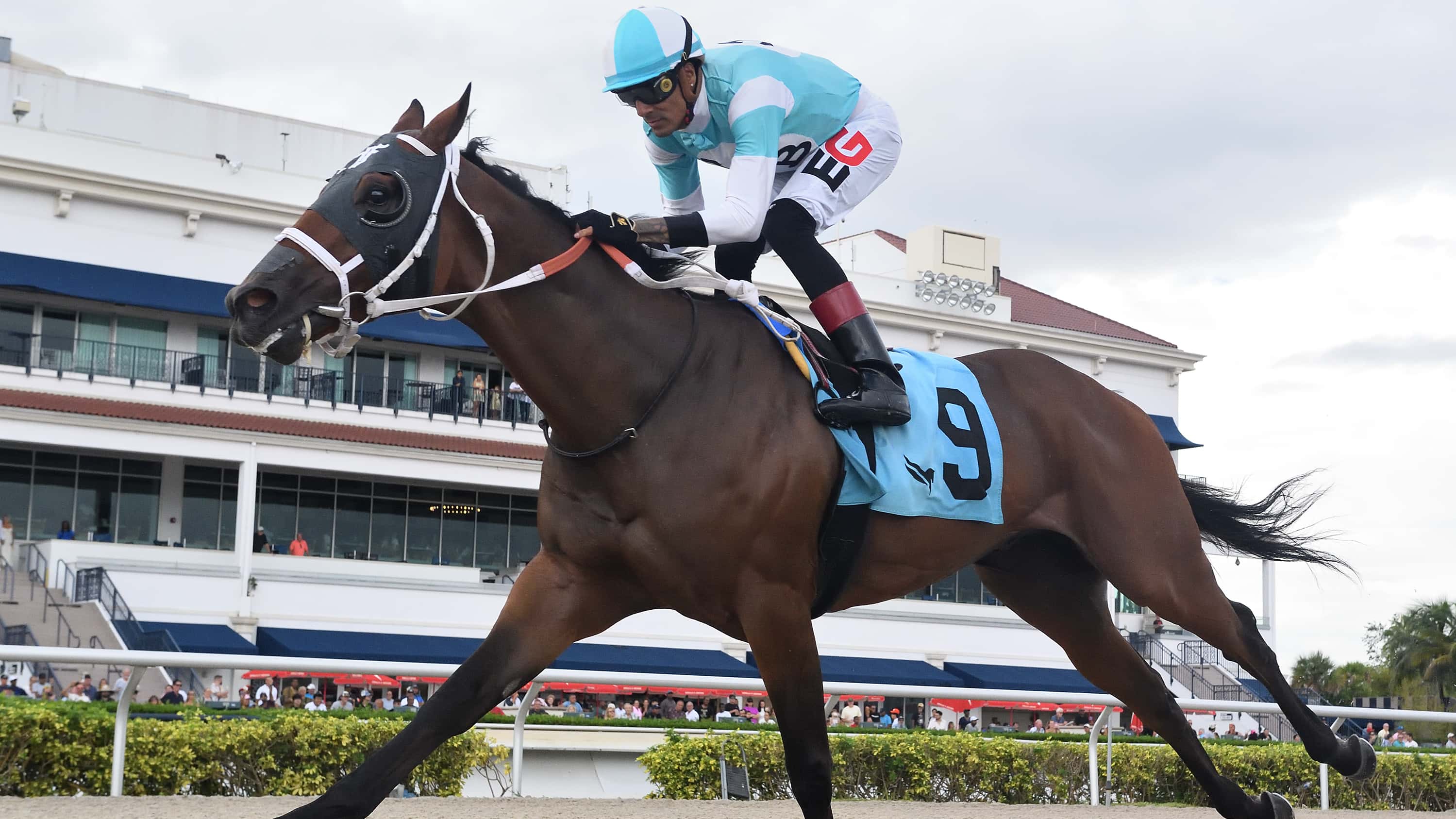 Ashers Edge the Bob Umphrey