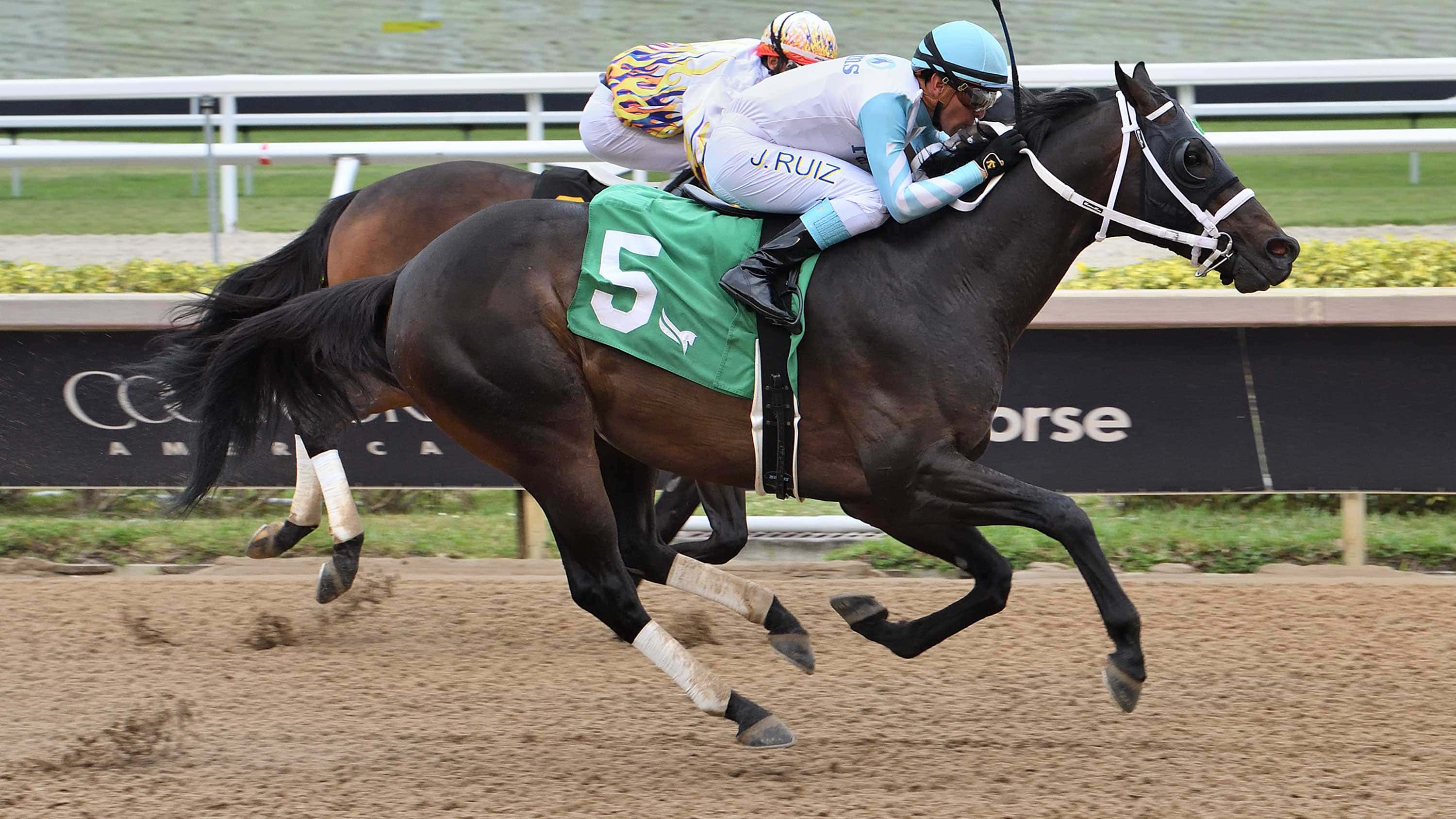 Super-Chow-the-GP-Sprint-0