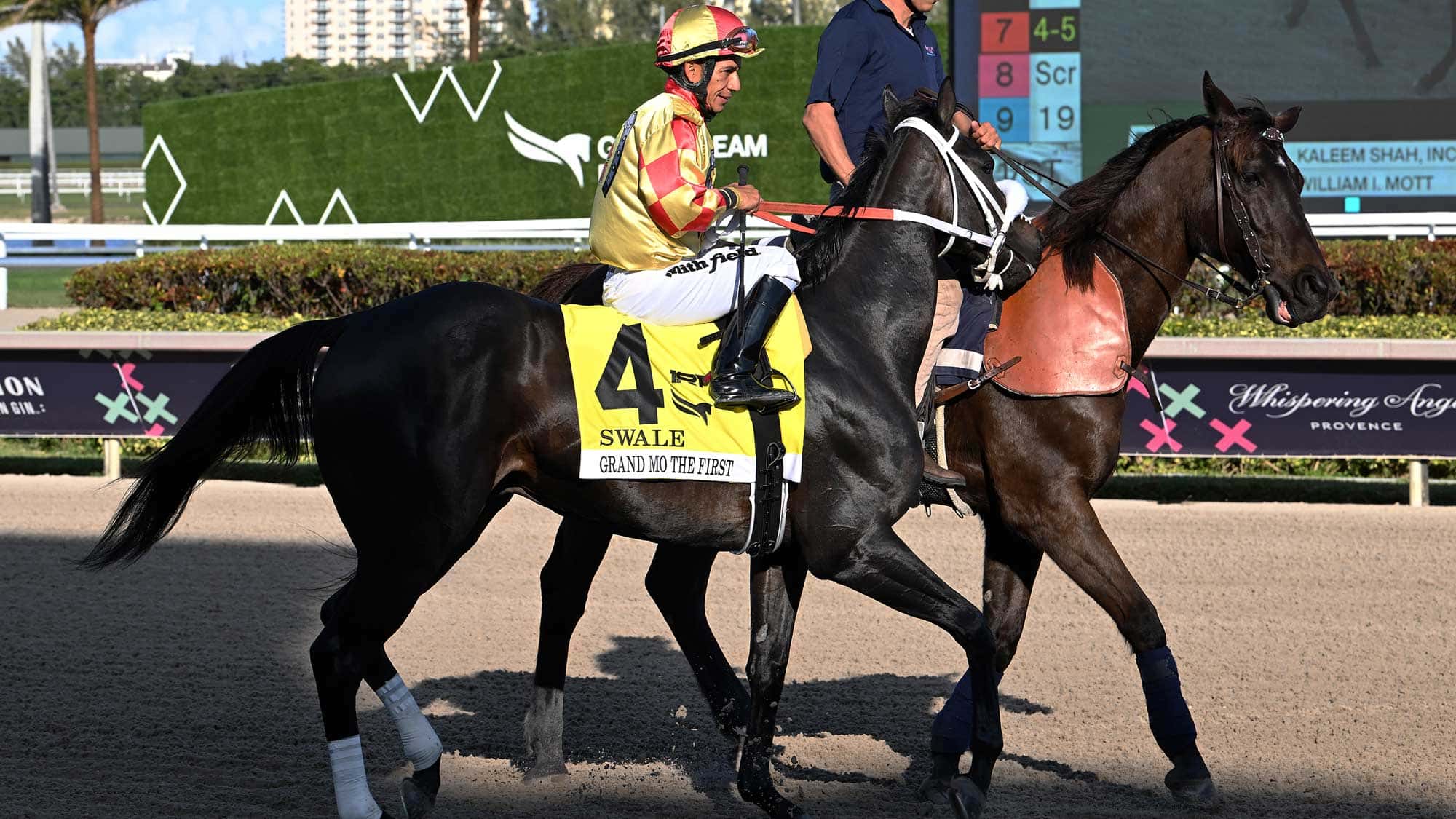 Grand-Mo-the-First-PP