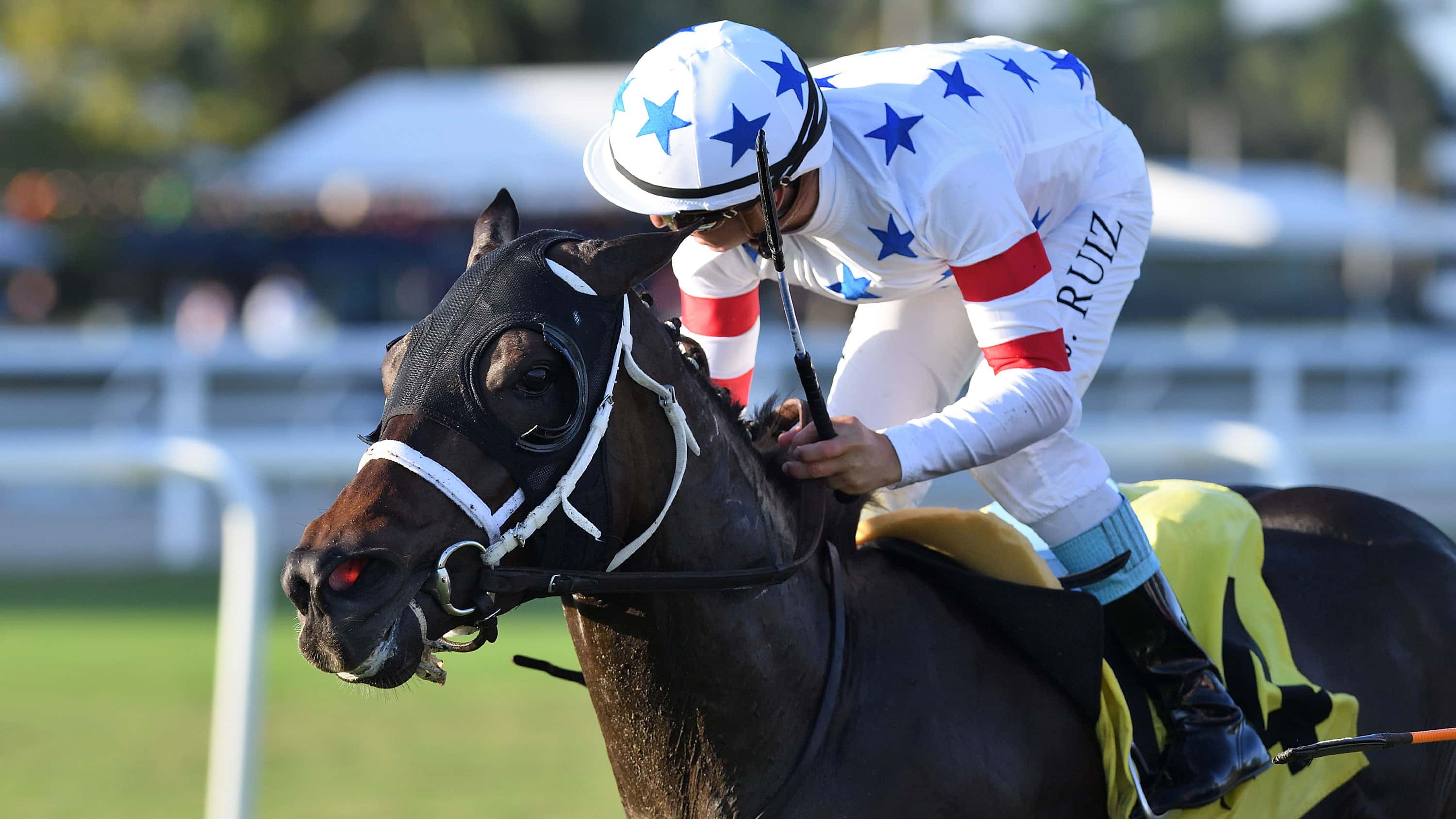 Crevalle d’Oro Has Winning Move in Suwannee River
