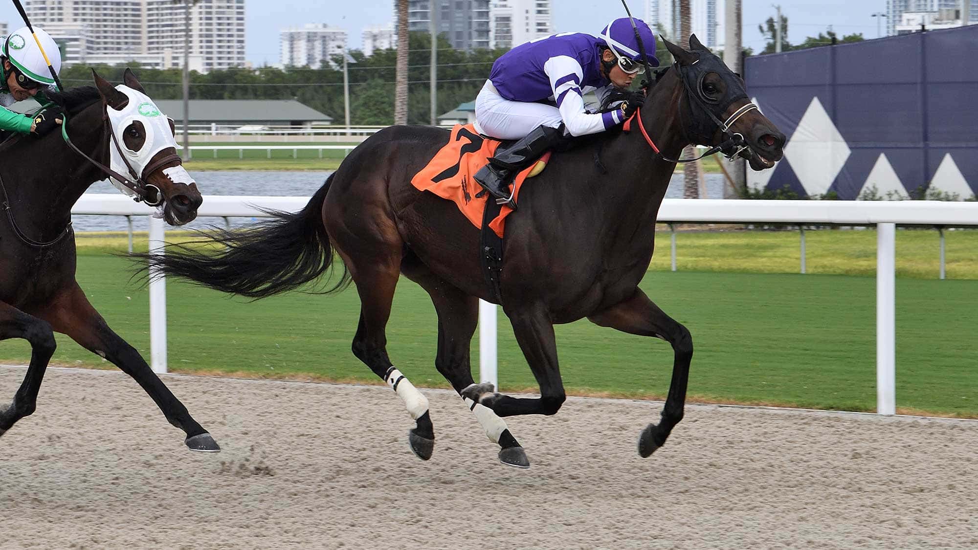 Time-Passage-the-Cellars-Shiraz-2023
