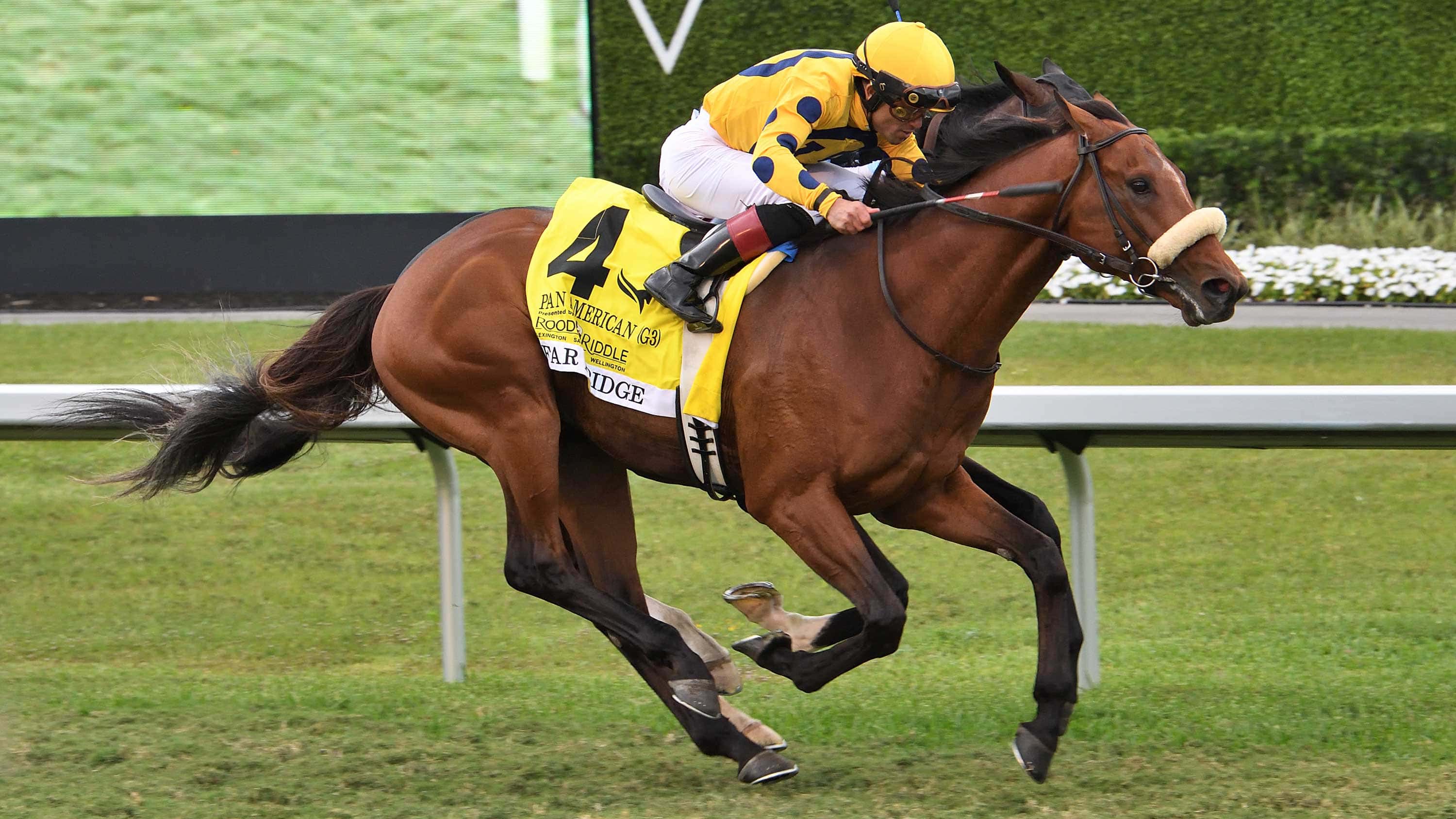 Far Bridge Remains Unbeaten at Gulfstream Park With Pan American Victory
