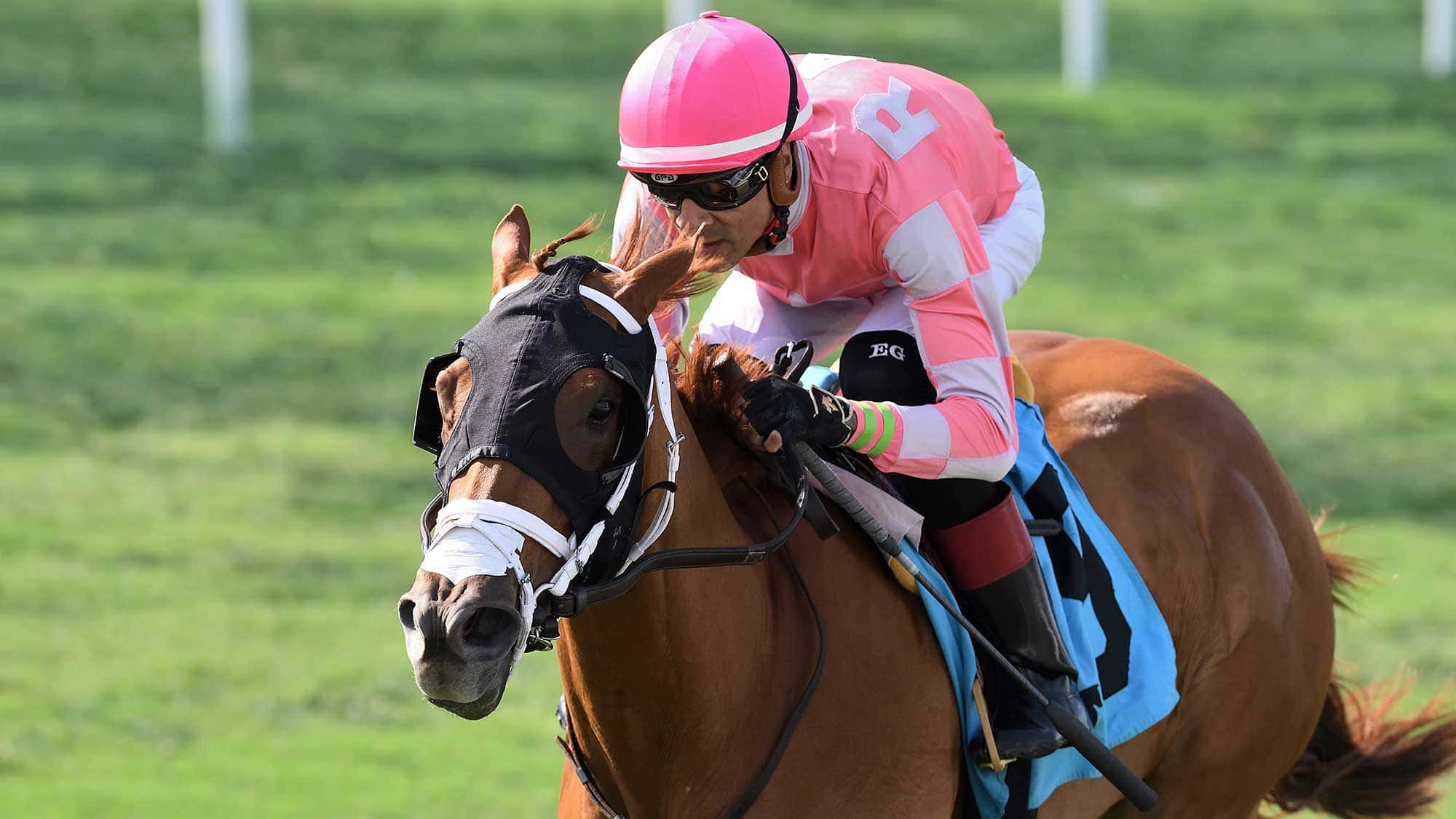 Crimson-Advocate-the-Royal-Palm-Juvenile-Fillies-