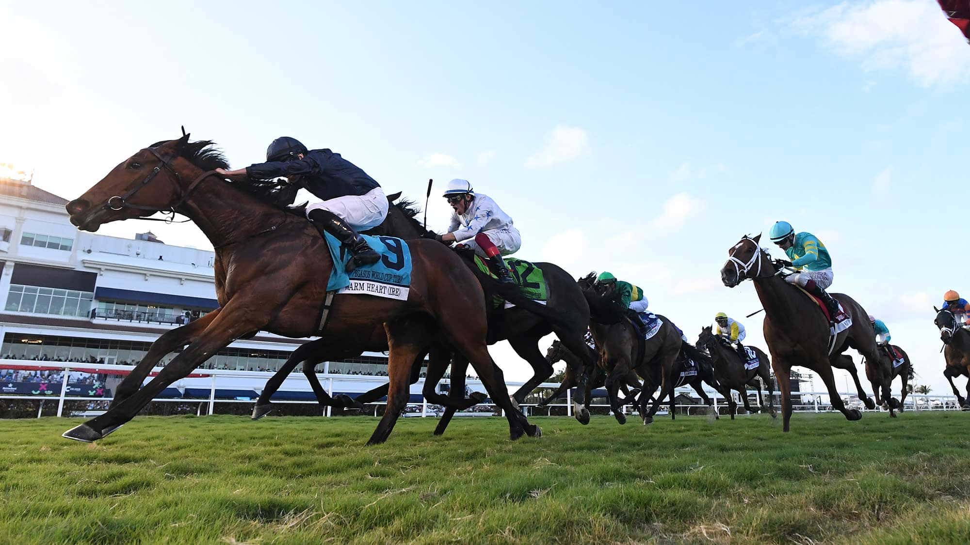 Warm-Heart-the-PWC-turf-1