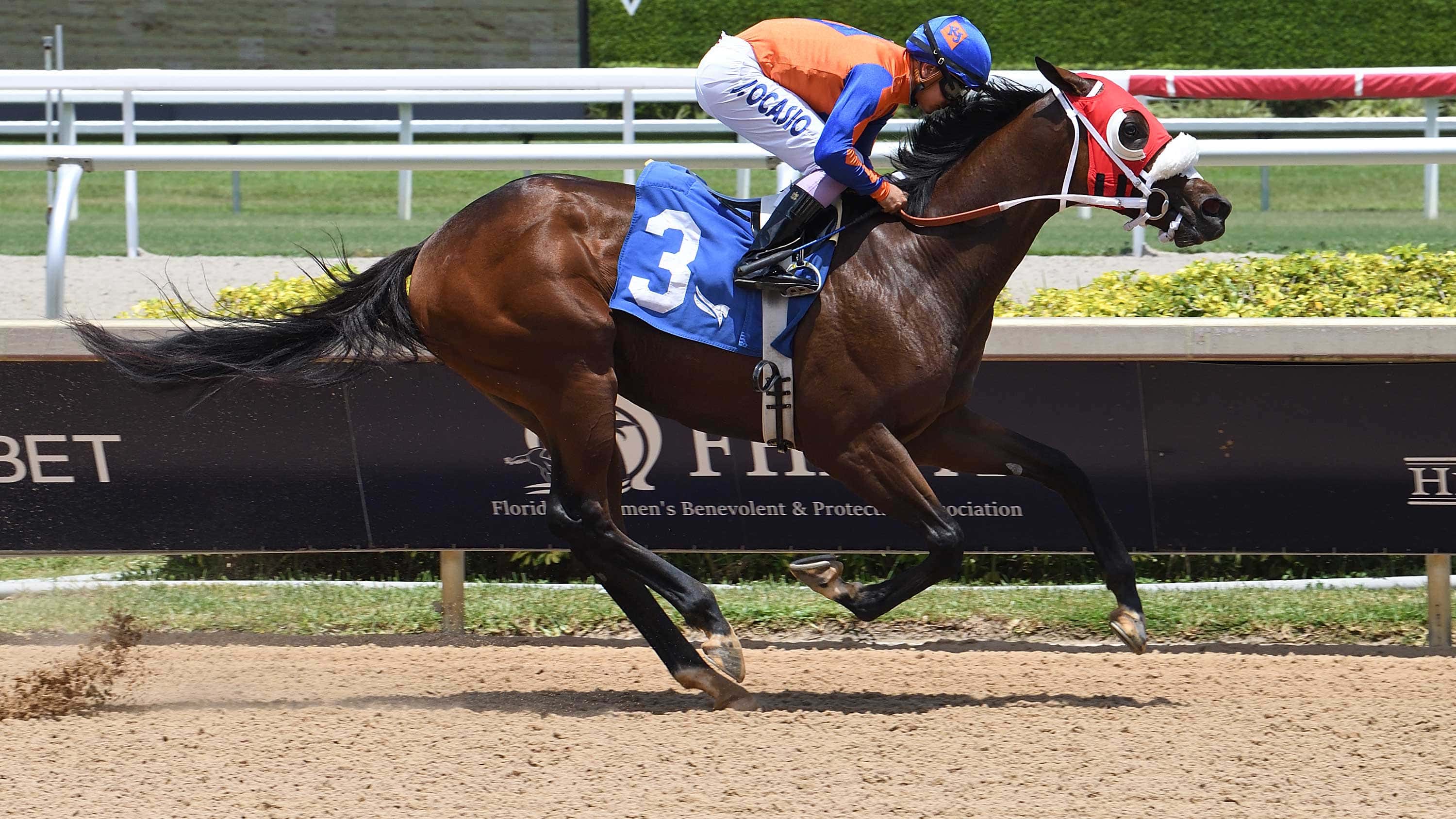 Sum of Success Heads List of Winners in $100,000 In Summation