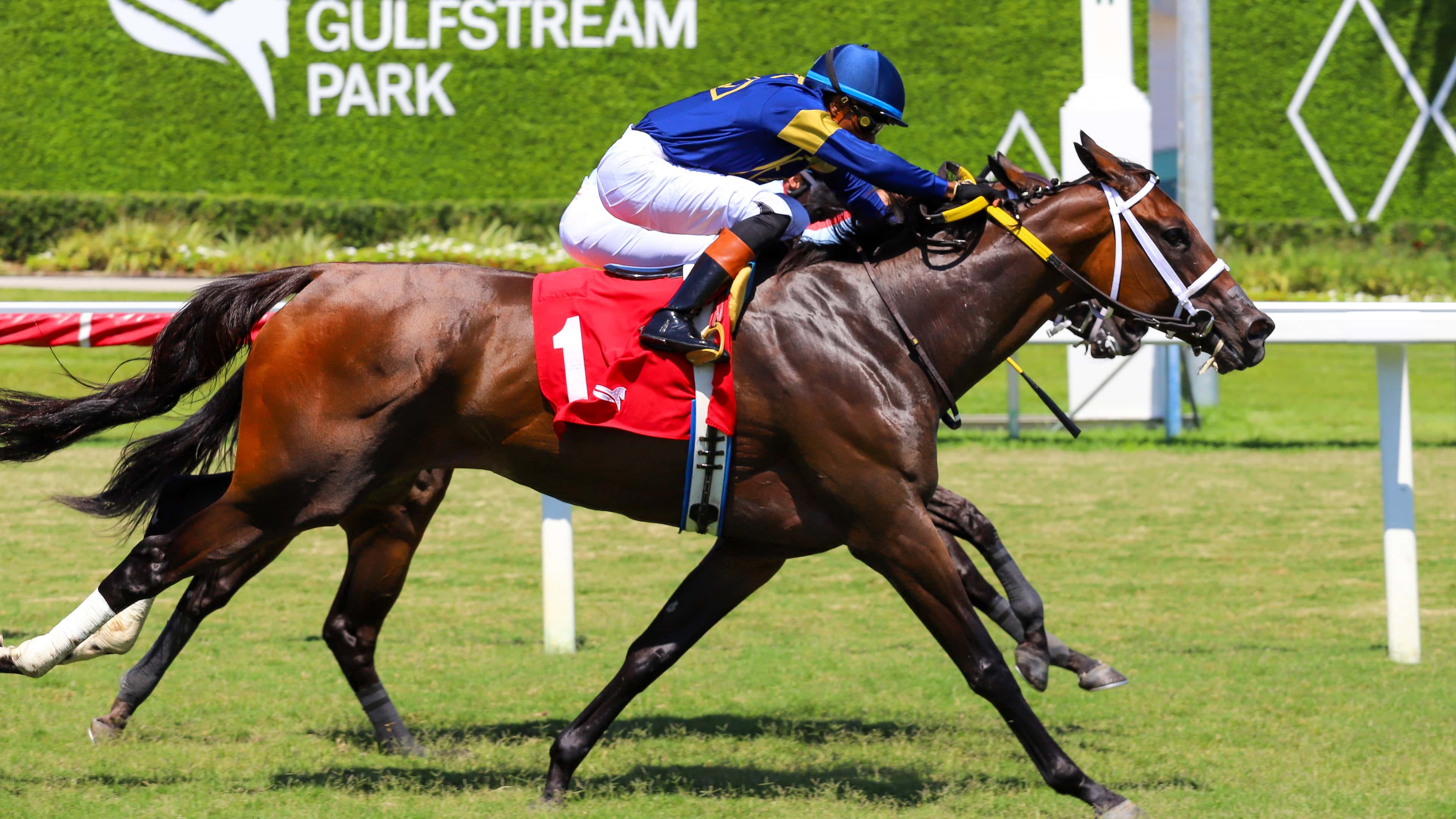 Turino con poderoso remate se anexó The Monroe Stakes