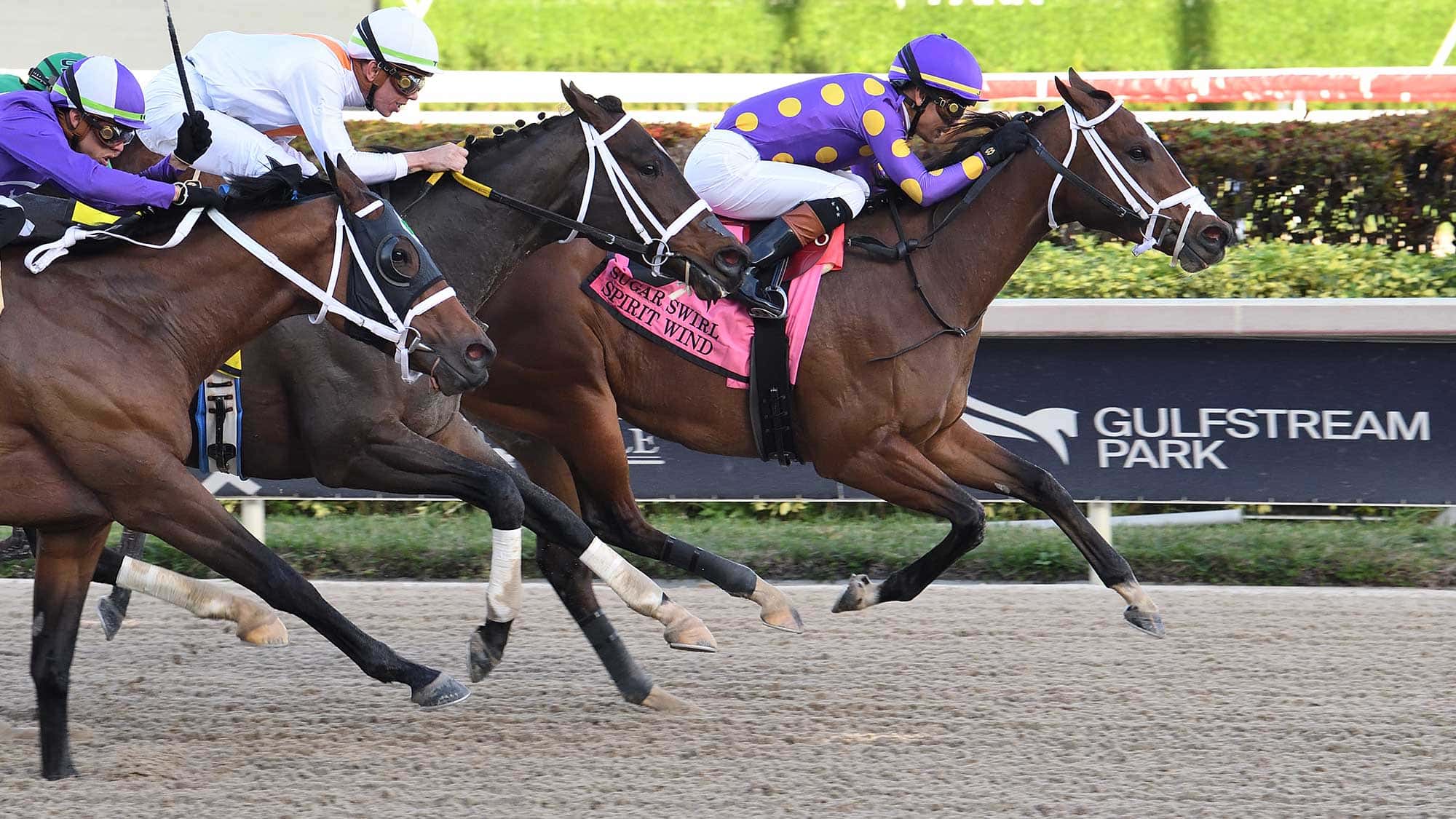 Spirit-Wind-the-Sugar-Swirl