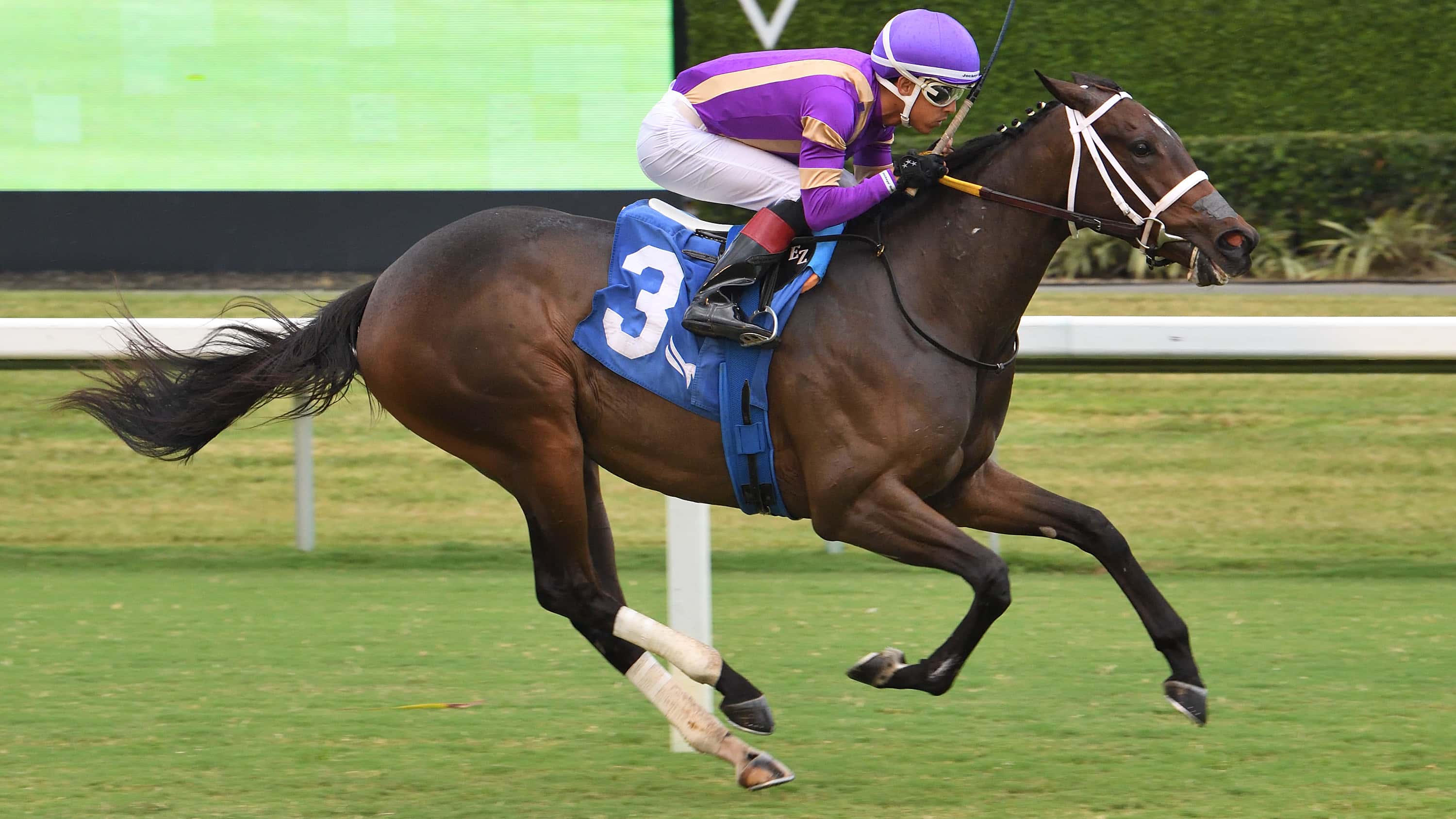 Spirit-Doll-the-Our-Dear-Peggy