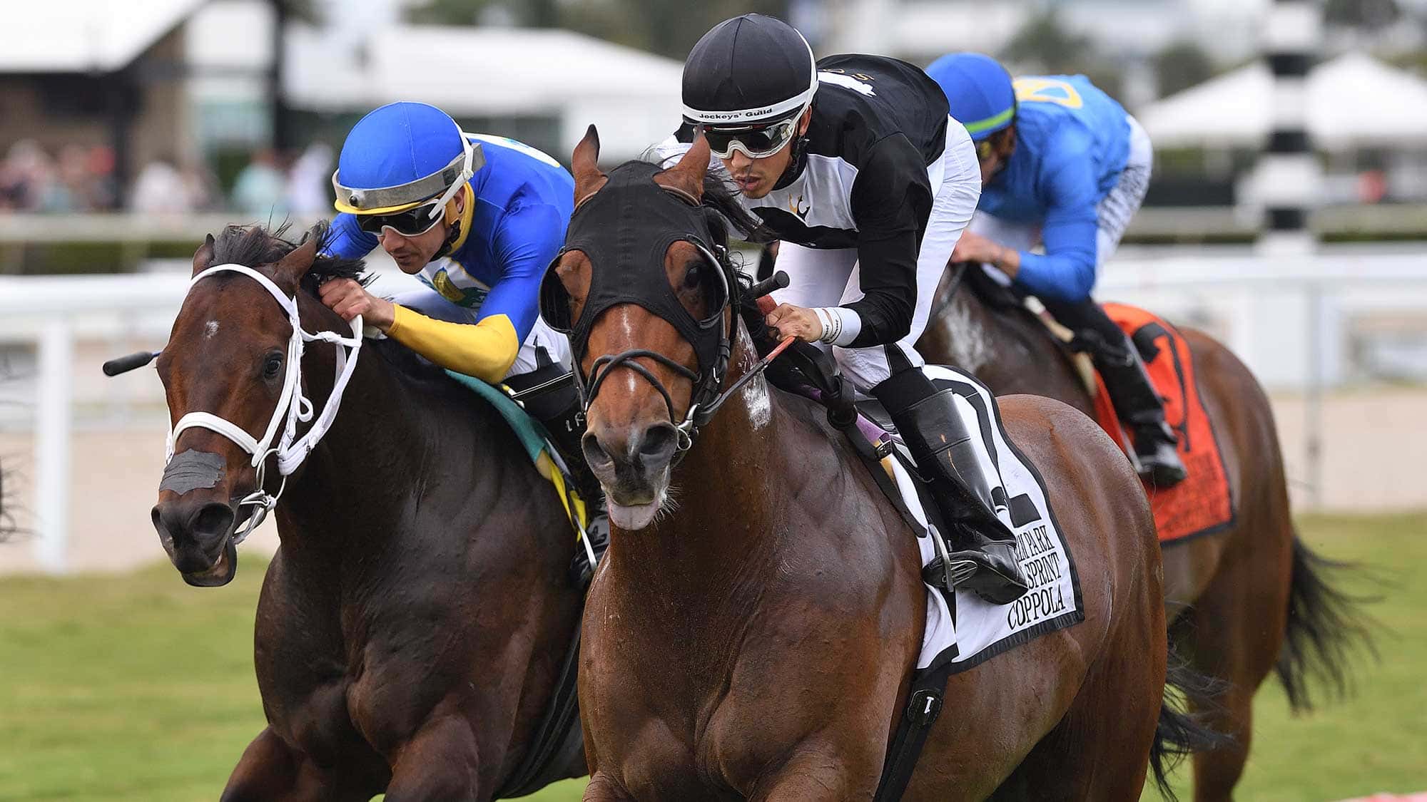 Coppola-the-GP-Turf-Sprint