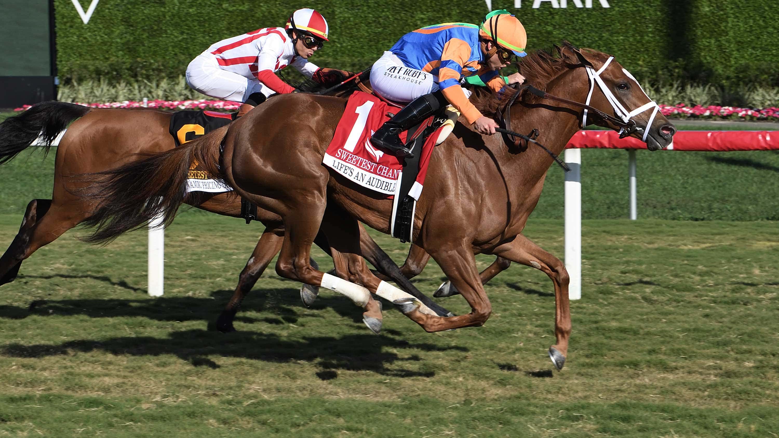 Lifes-an-Audible-the-Sweetest-Chant