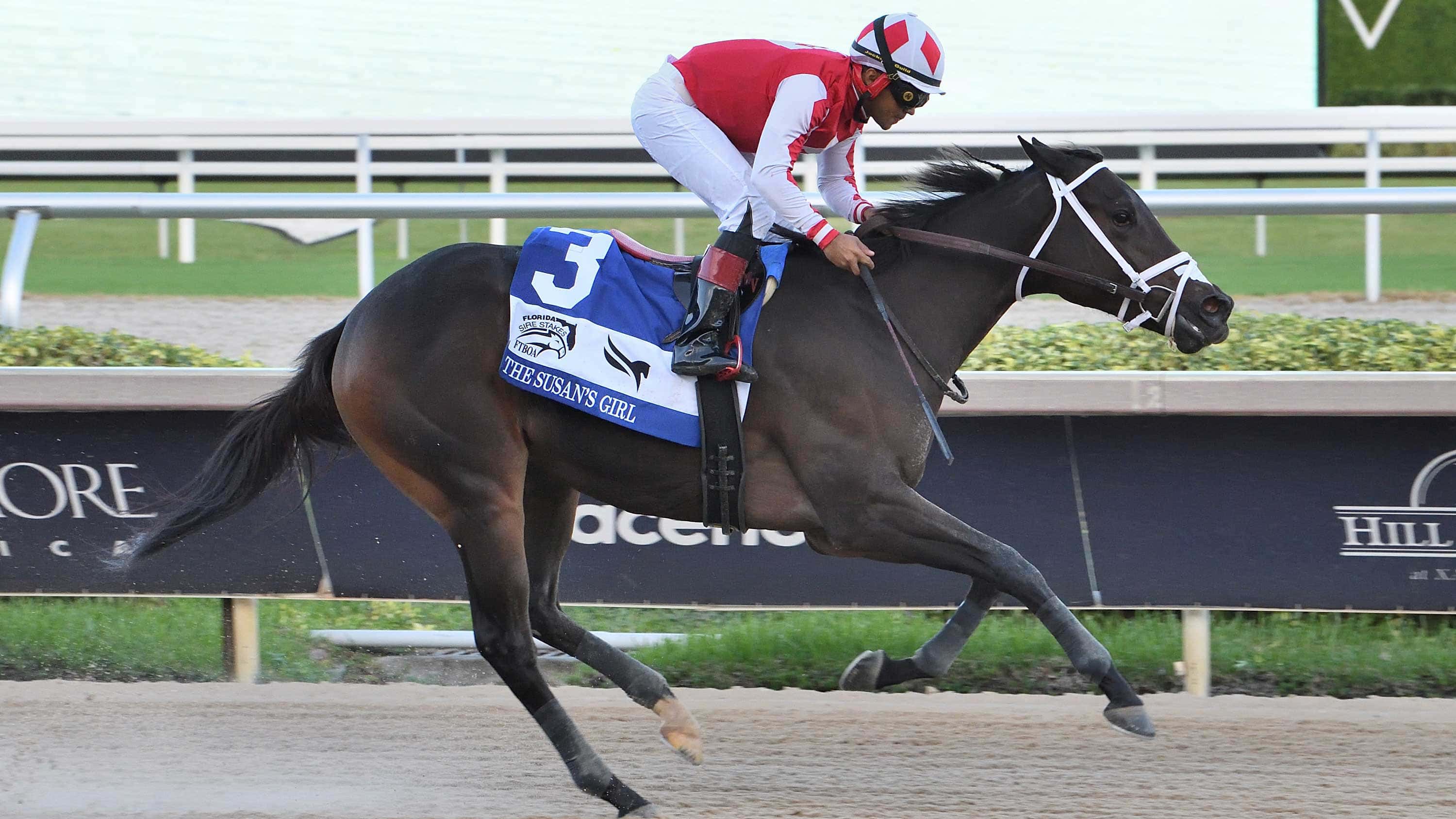 Win-N-Your-In-the-FSS-Susans-Girl-2