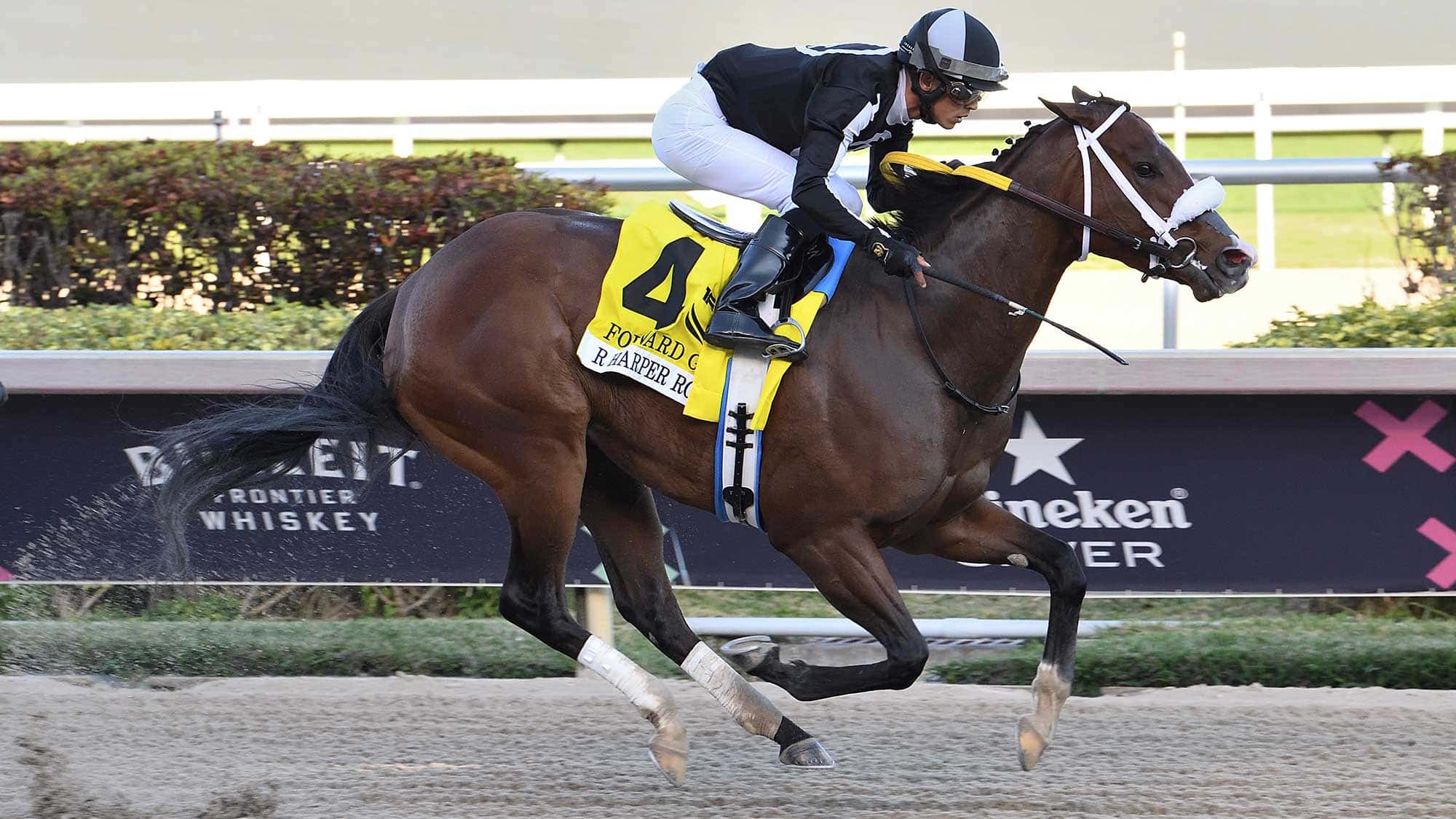 R-Harper-Rose-the-Forward-Gal(