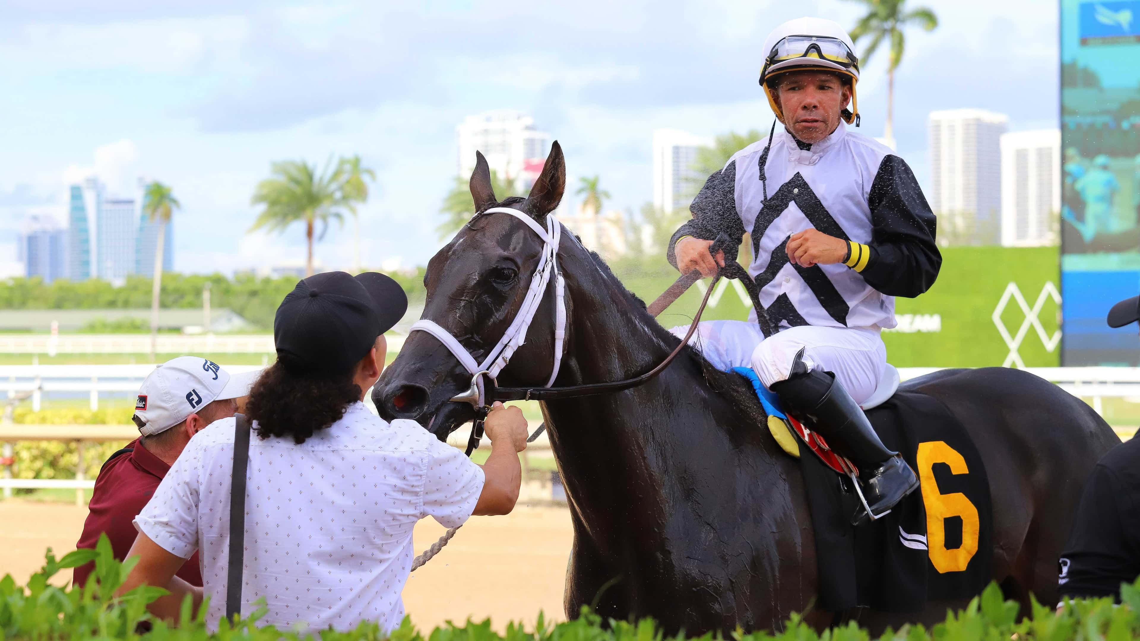 Neodera se impuso de punta a punta en la última carrera del Royal Palm Meet