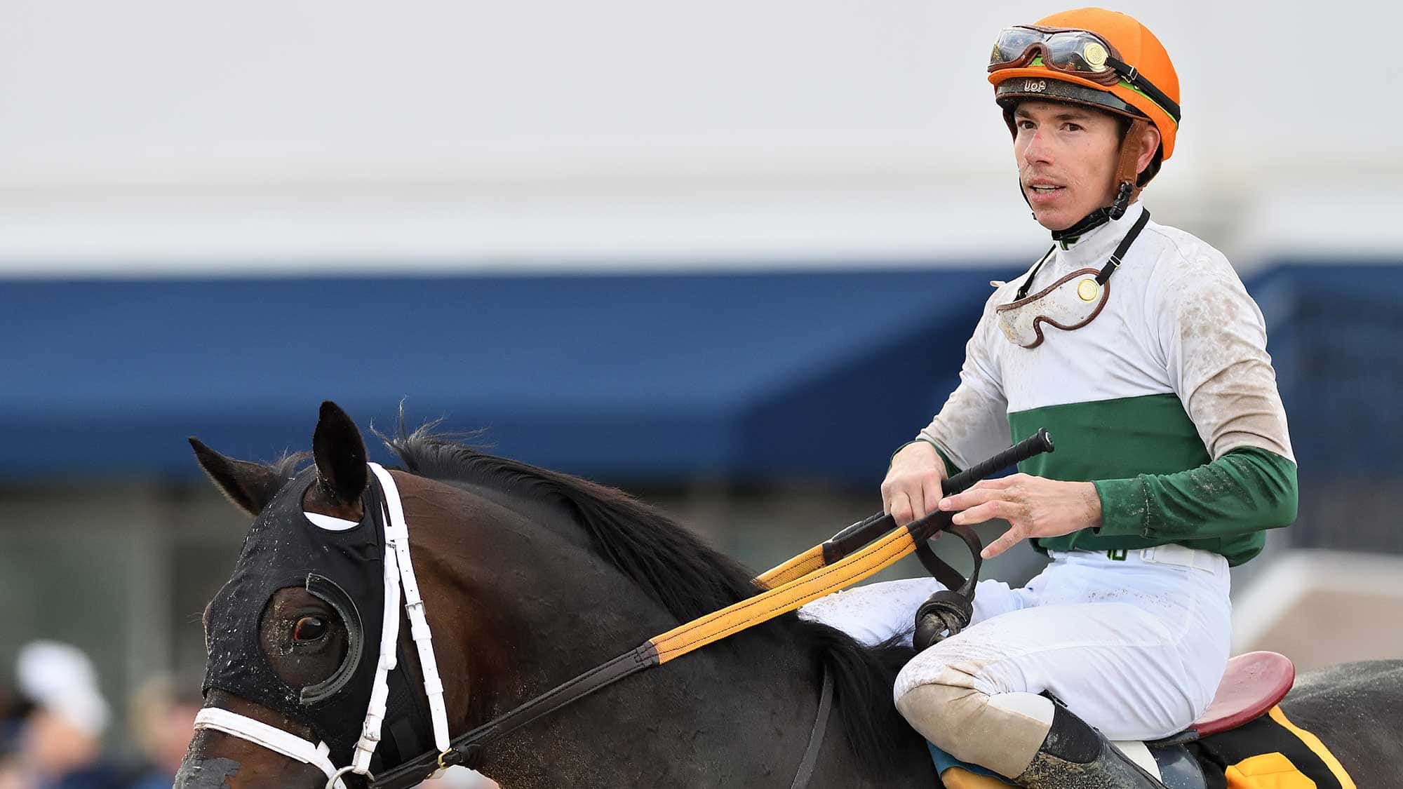 OConnor-the-Harlans-Holiday