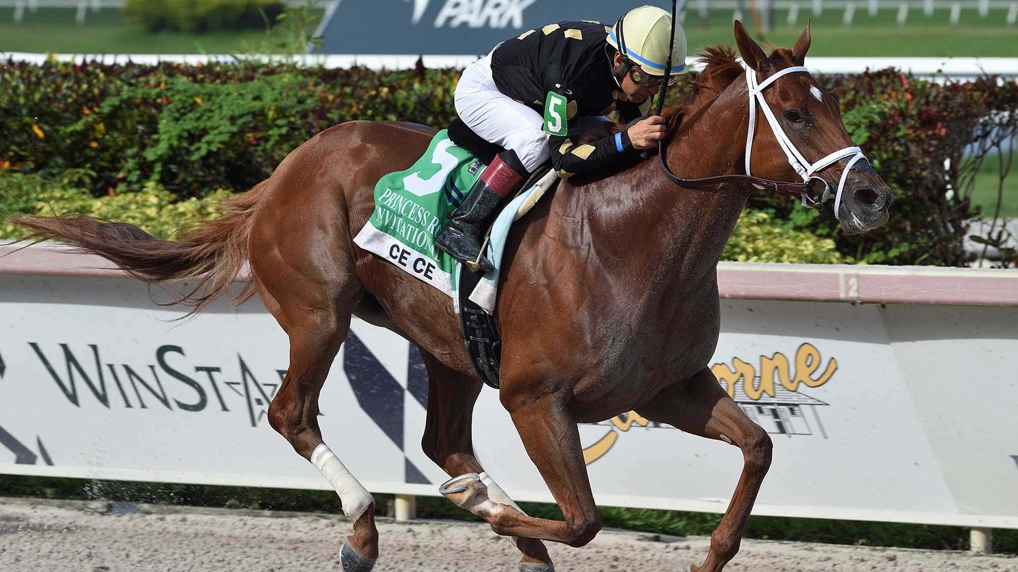 Ce-Ce-the-Princess-Rooney-0