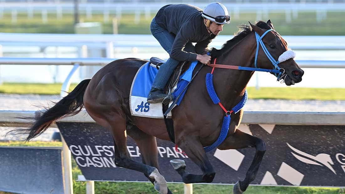 Simplification-3-26-22