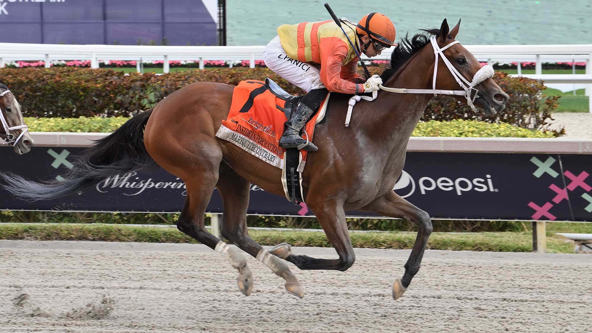 Maryquitecontrary-the-Inside-Information