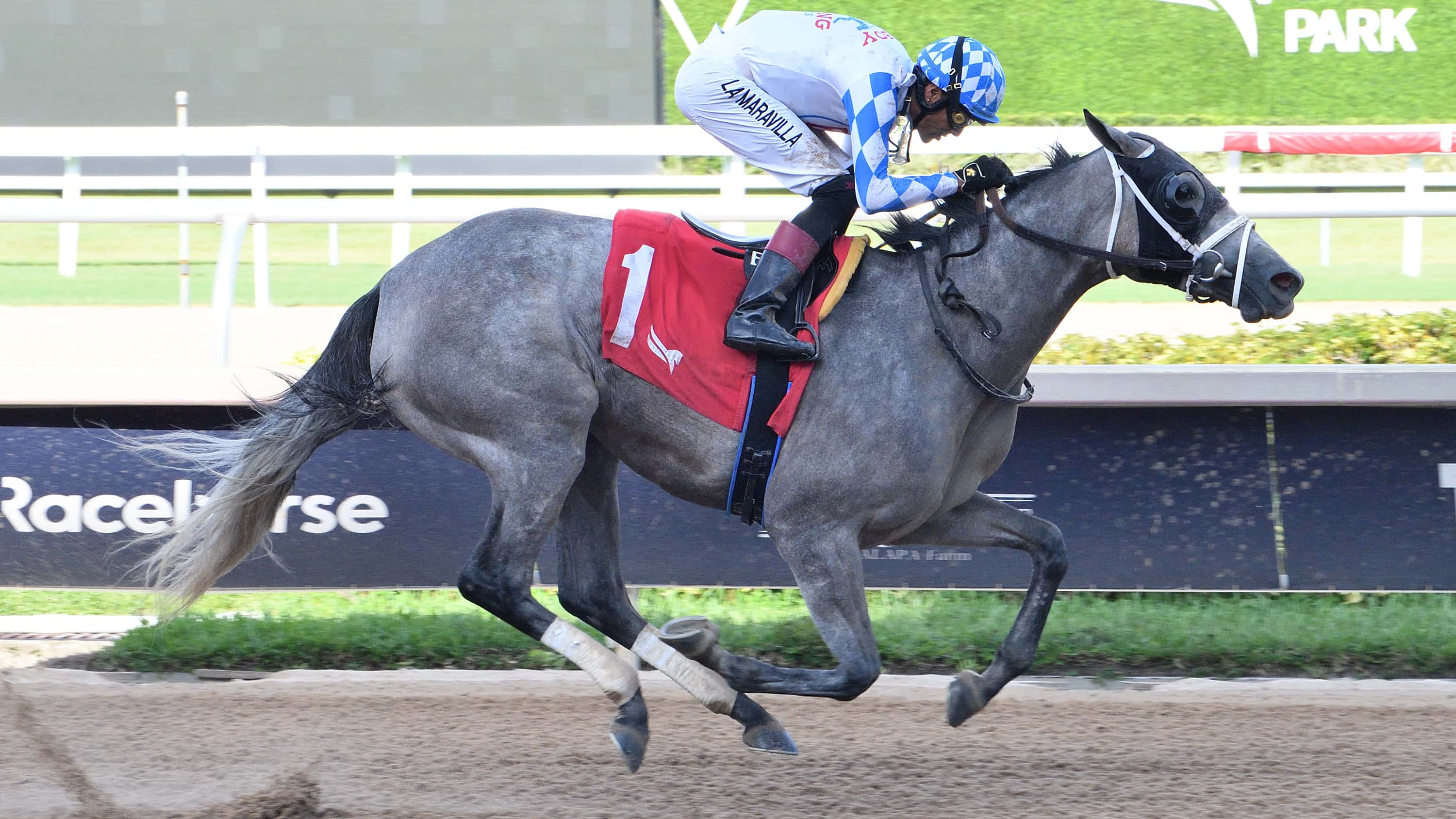 Vincey Girl the Sheer Drama